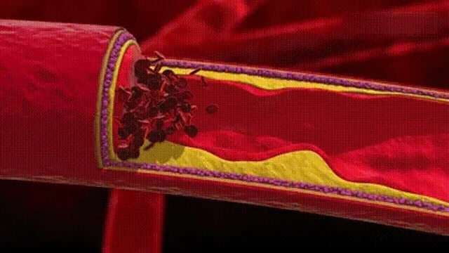 1721376446915002.gif 7月19日.gif