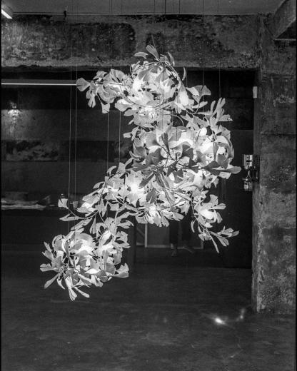 Gingko Chandelier F - Vakkerlight