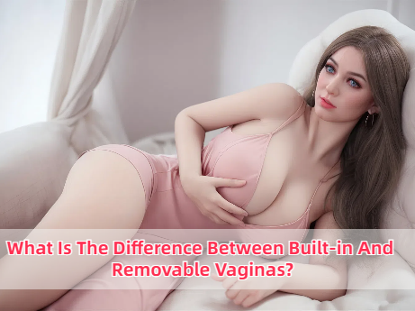 What Is The Difference Between Built-in And Removable Vaginas?-DreamLoveDoll