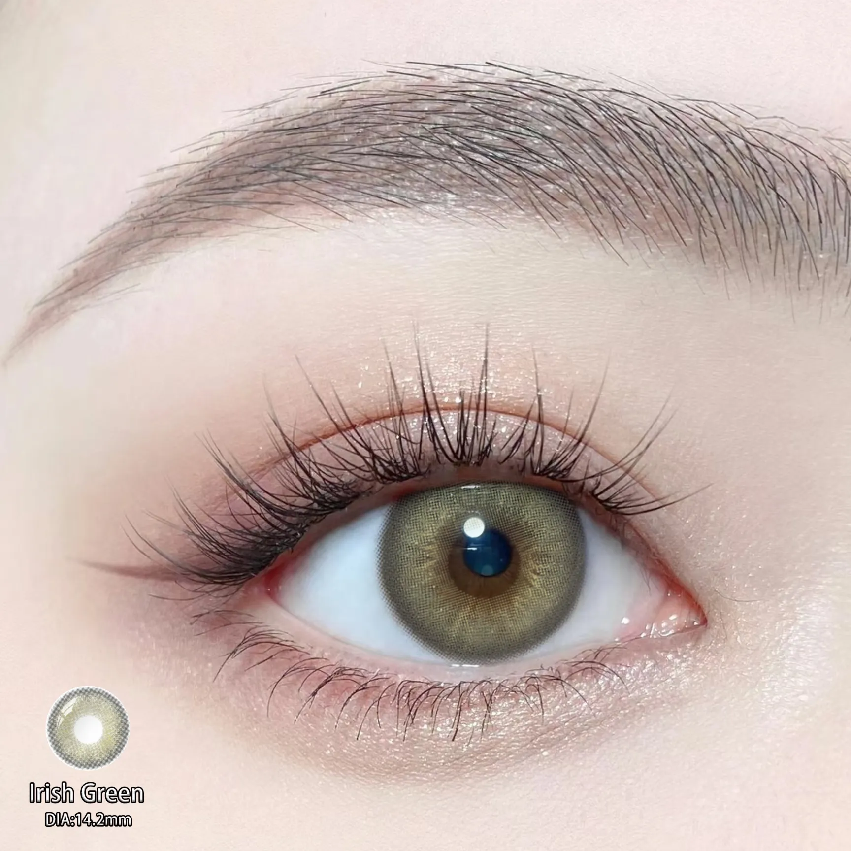 Eyeza Irish Green | 1 Year