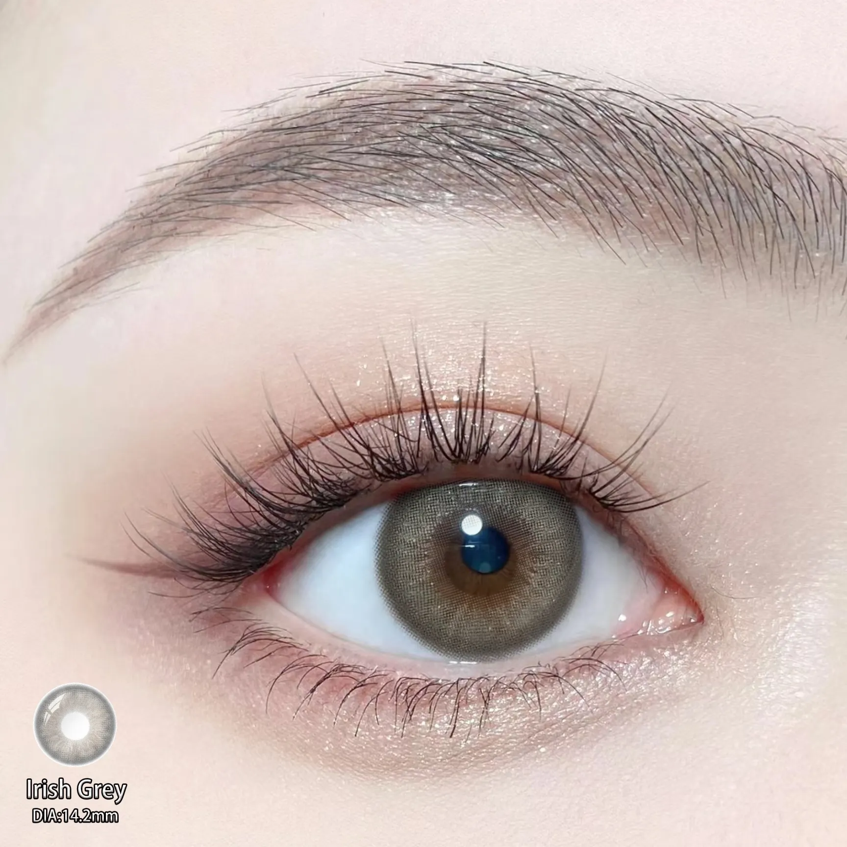 Eyeza Irish Gray | 1 Year