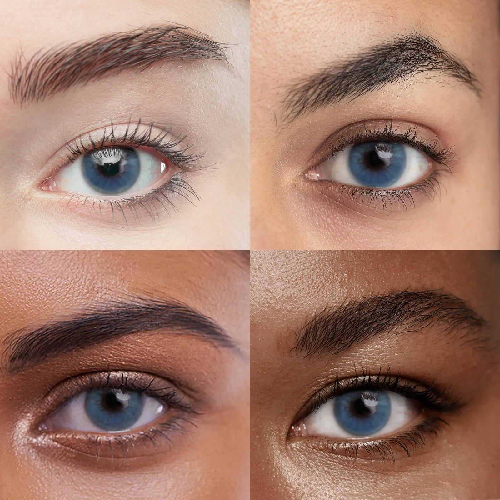 Eyeza Lucency Blue | 1 Year