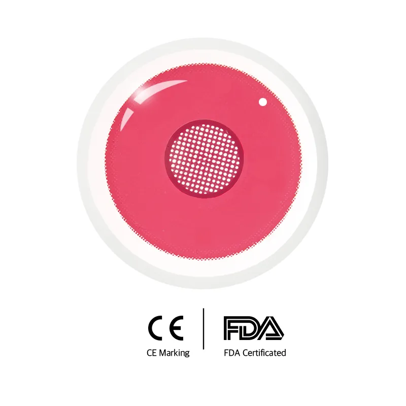 Eyeza Rose Bloom | 1 Year