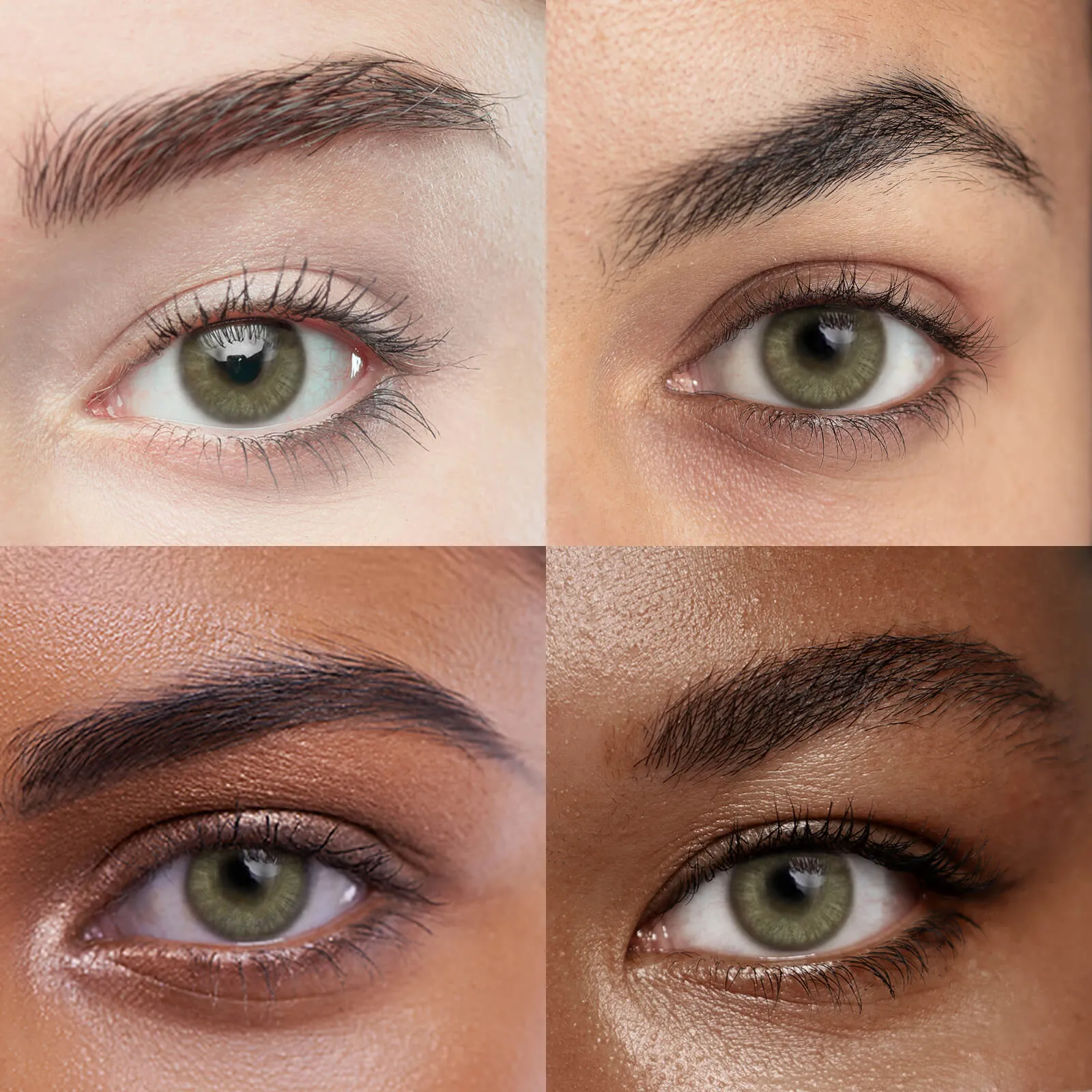 Eyeza Brownie Matcha | 1 Year