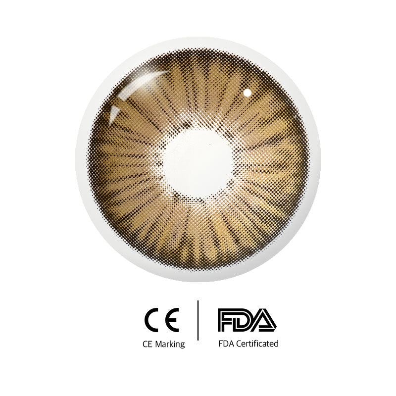 Eyeza New York II Grey Brown  | 1 Year