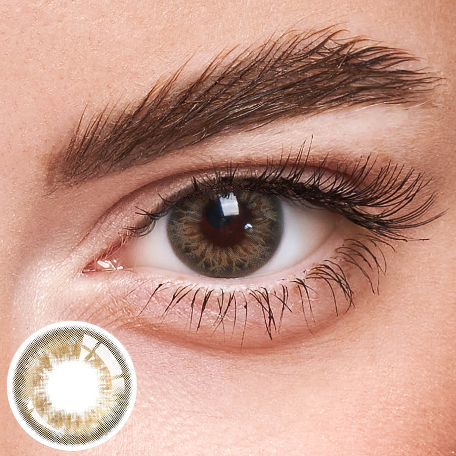 Eyeza DNA Taylor Brown Hazel | 1 Year