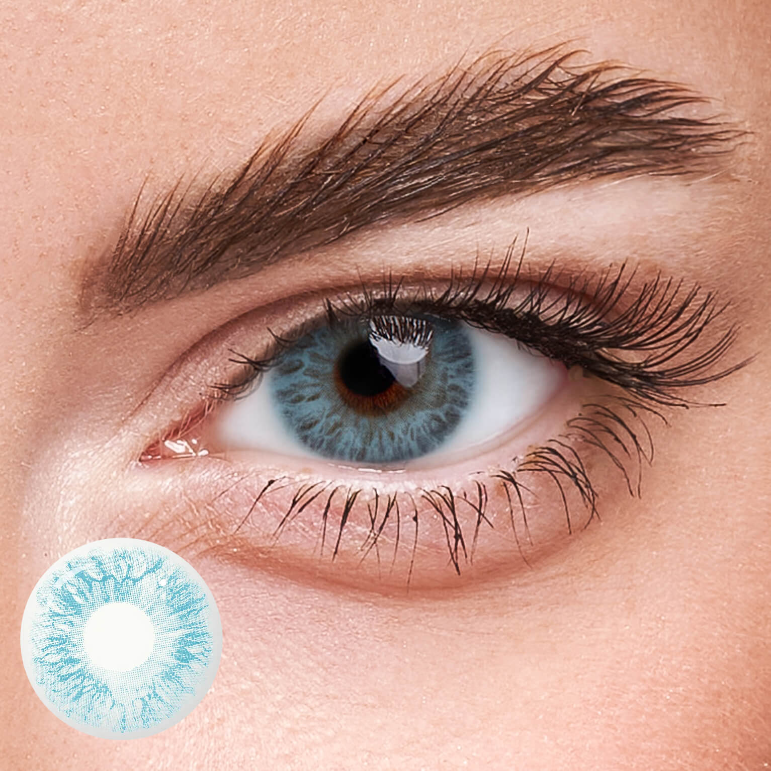 Eyeza Passion Blue  | 1 Year