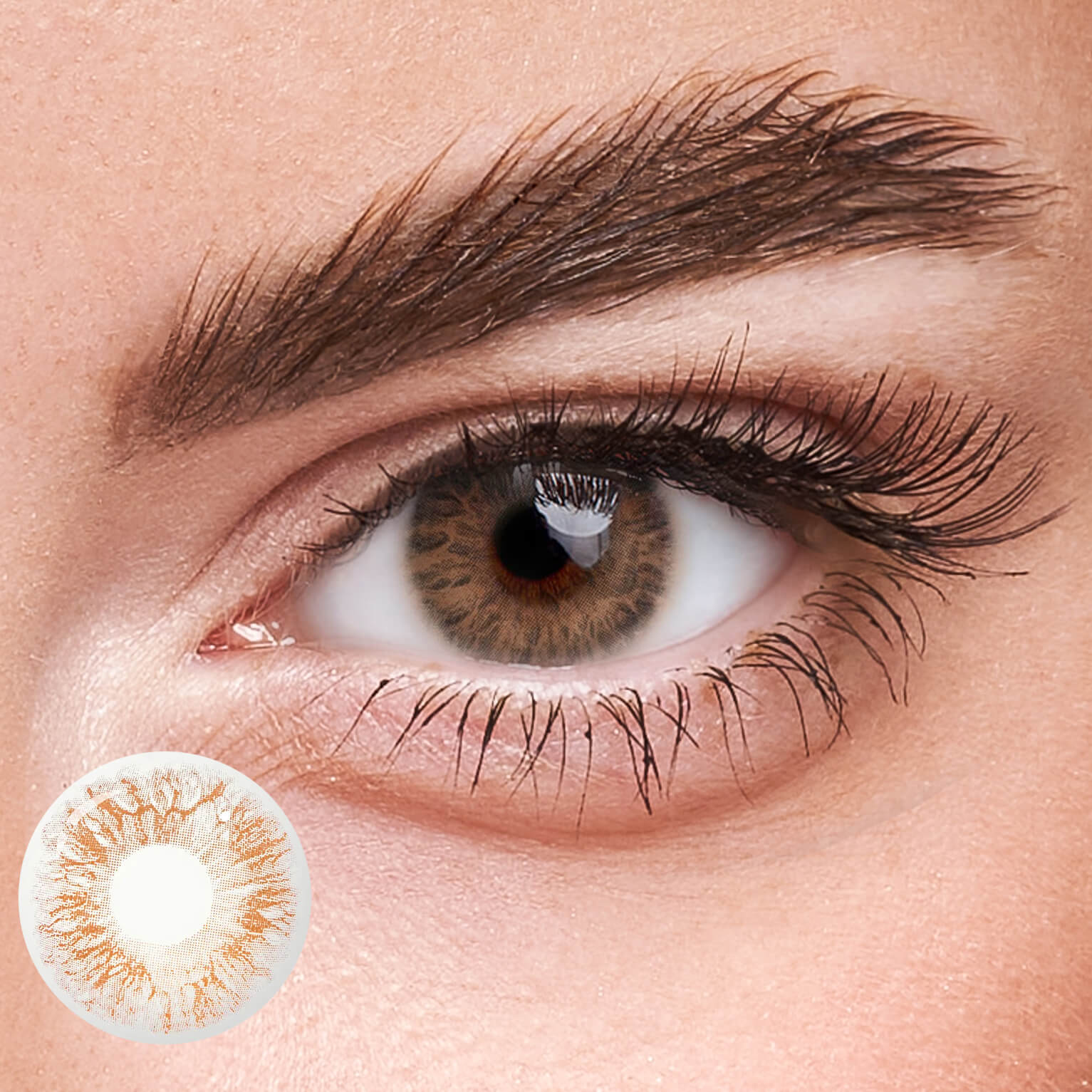 Eyeza Passion Brown  | 1 Year