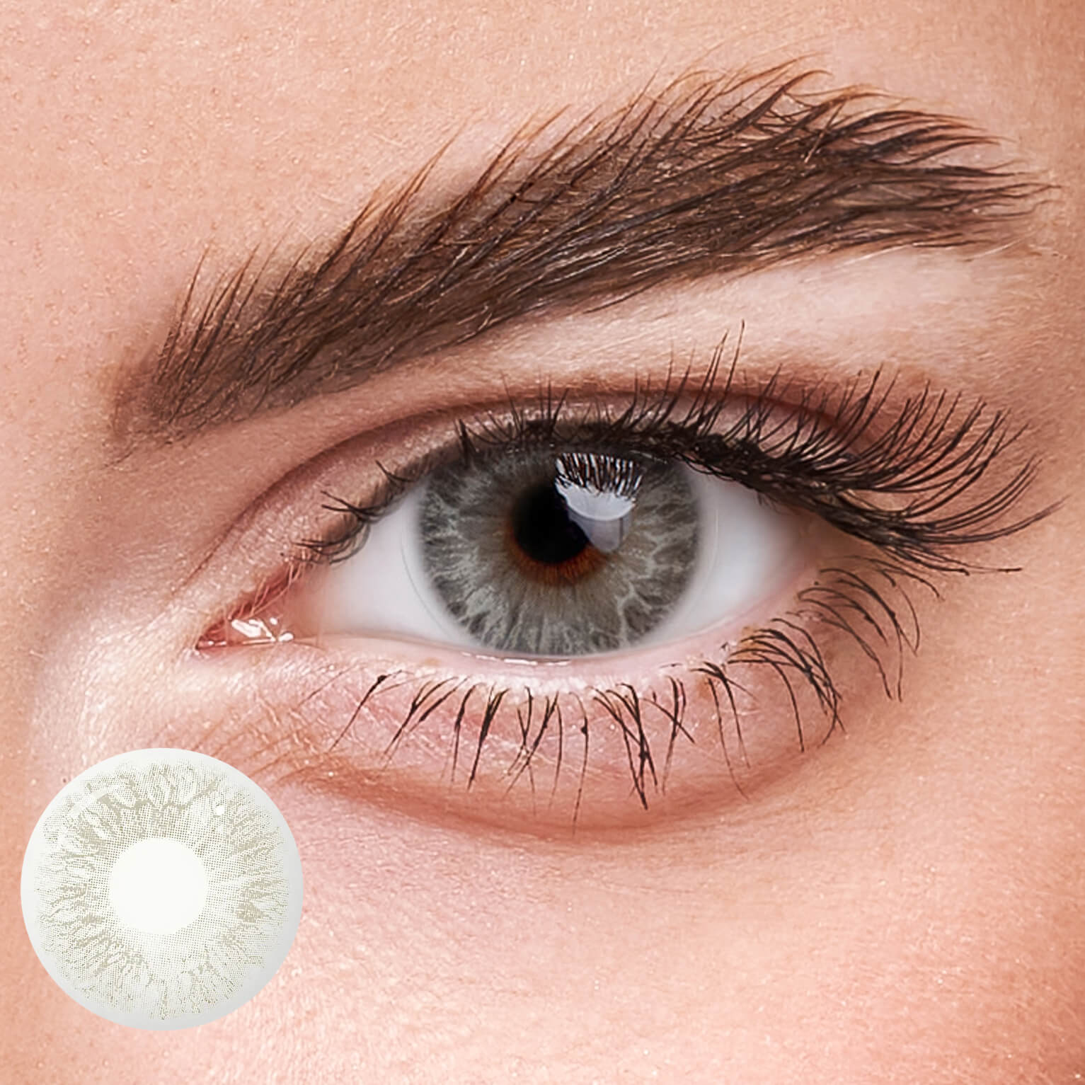 Eyeza Passion Grey  | 1 Year