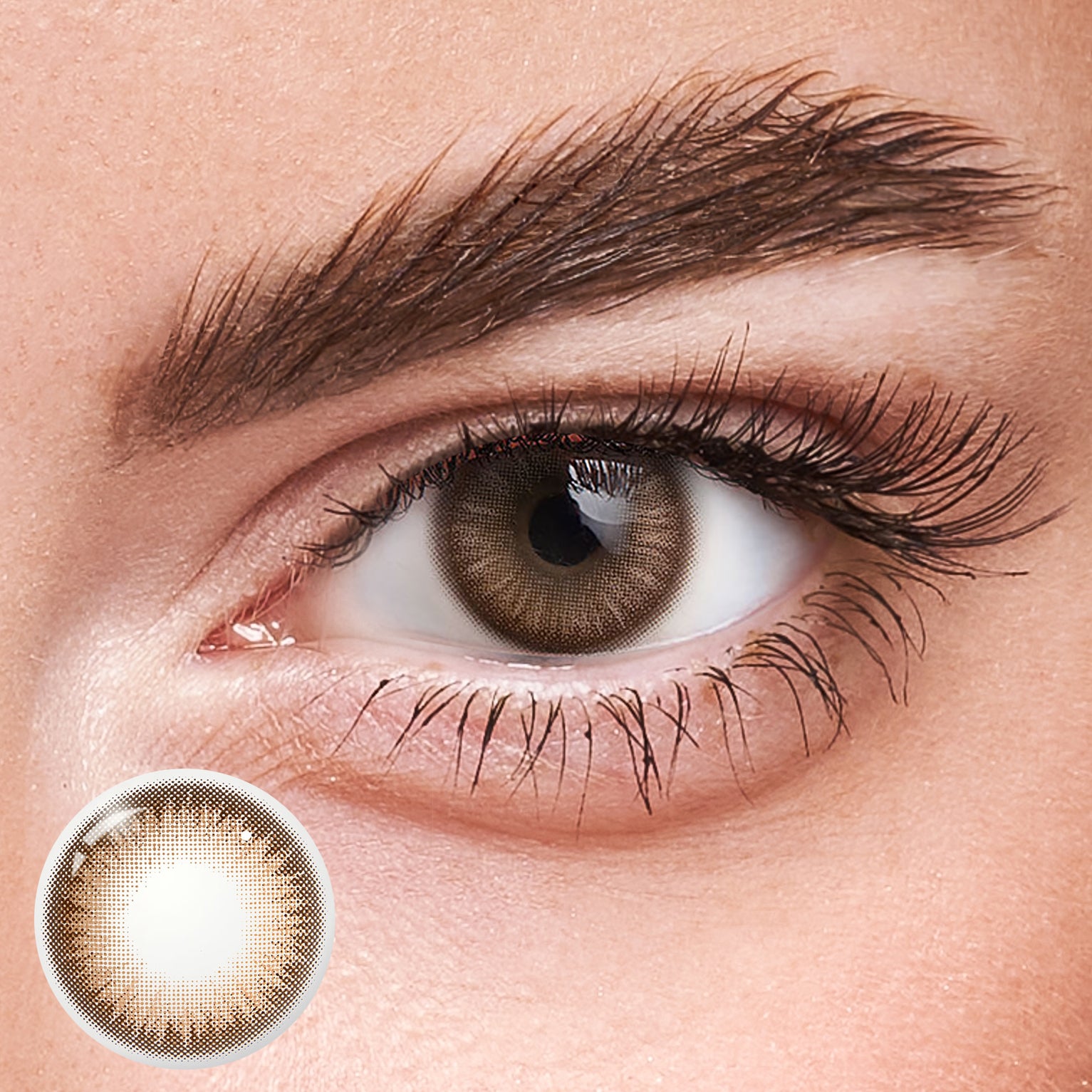 Eyeza Savage Brown  | 1 Year