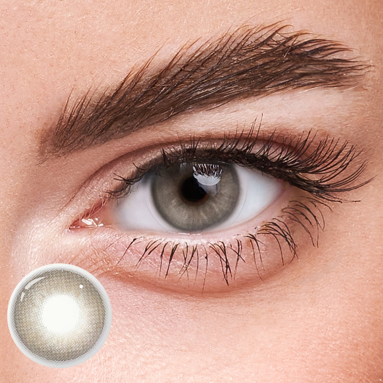 Eyeza Apex Grey  | 1 Year