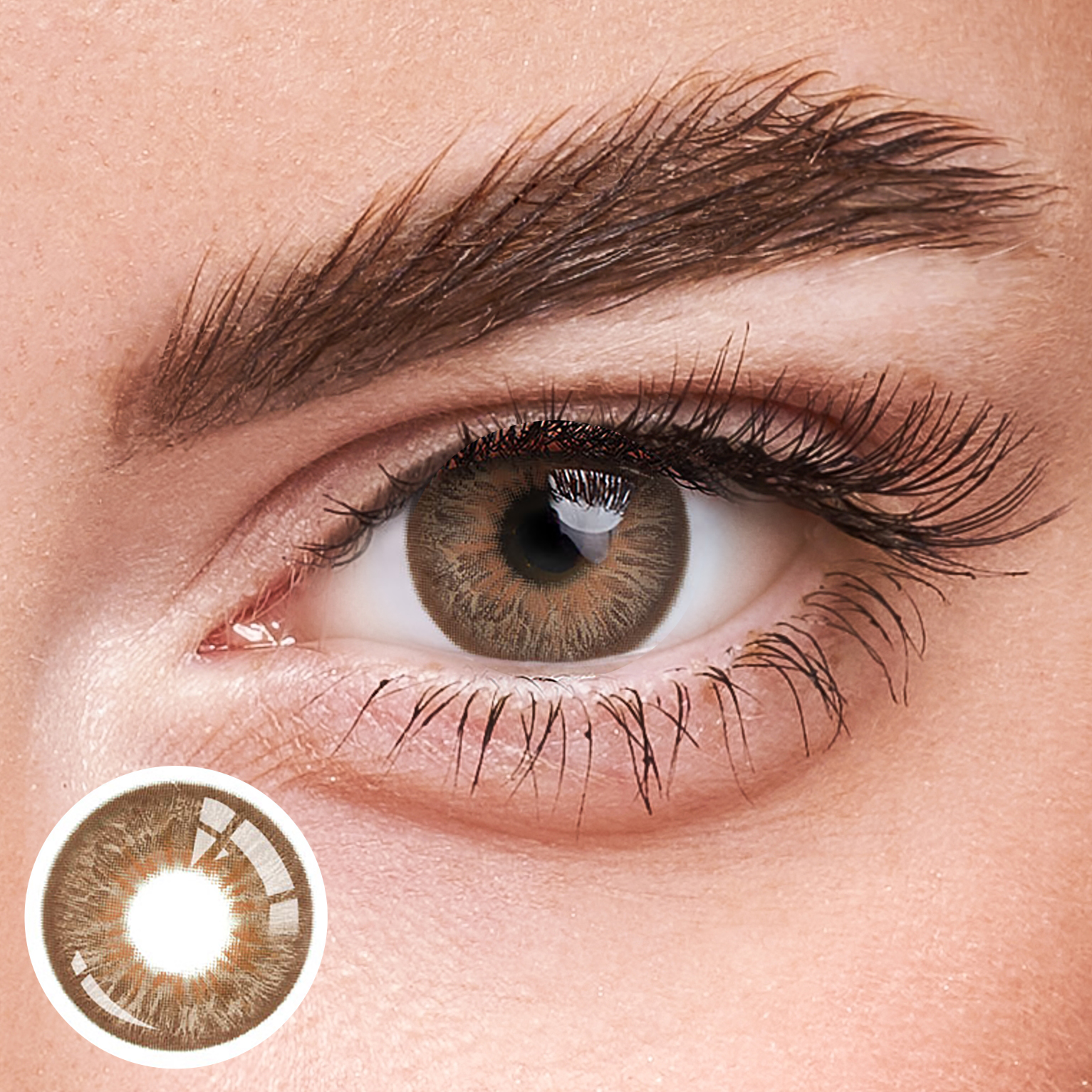 Eyeza Leopard Brown | 1 Year