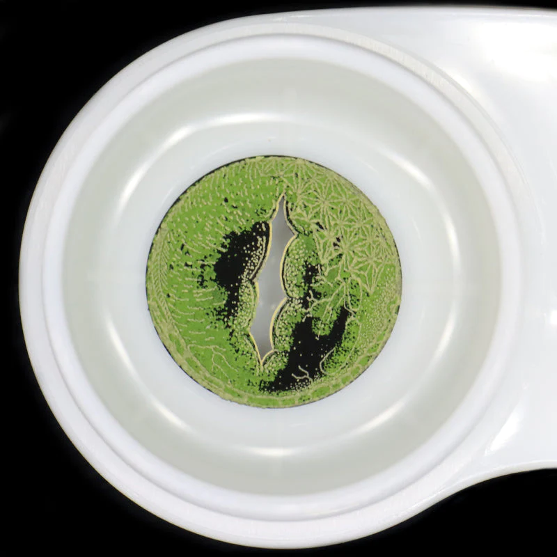 Eyeza Giant Crocodile | 1 Year