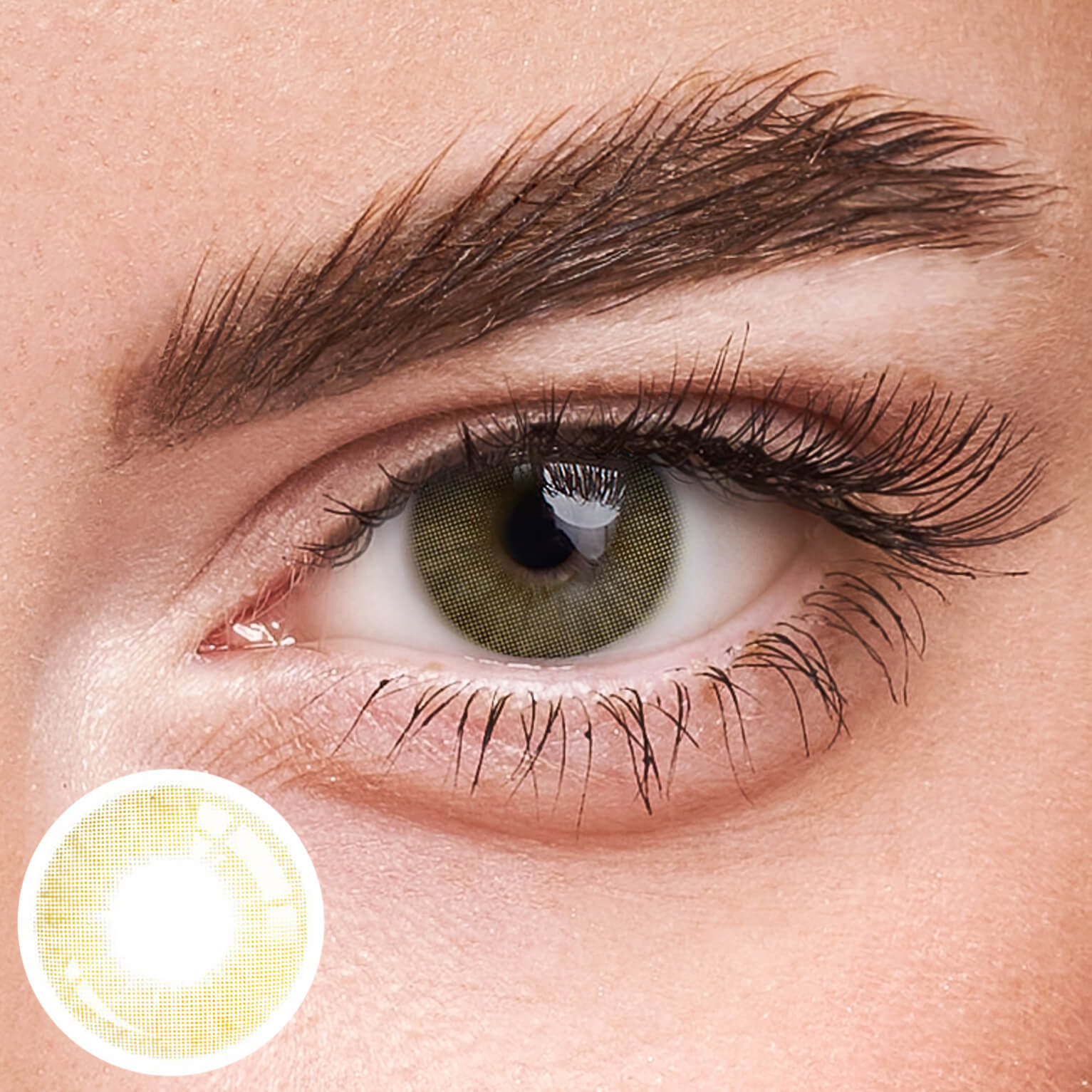 Eyeza Hidrocor Amber  | 1 Year