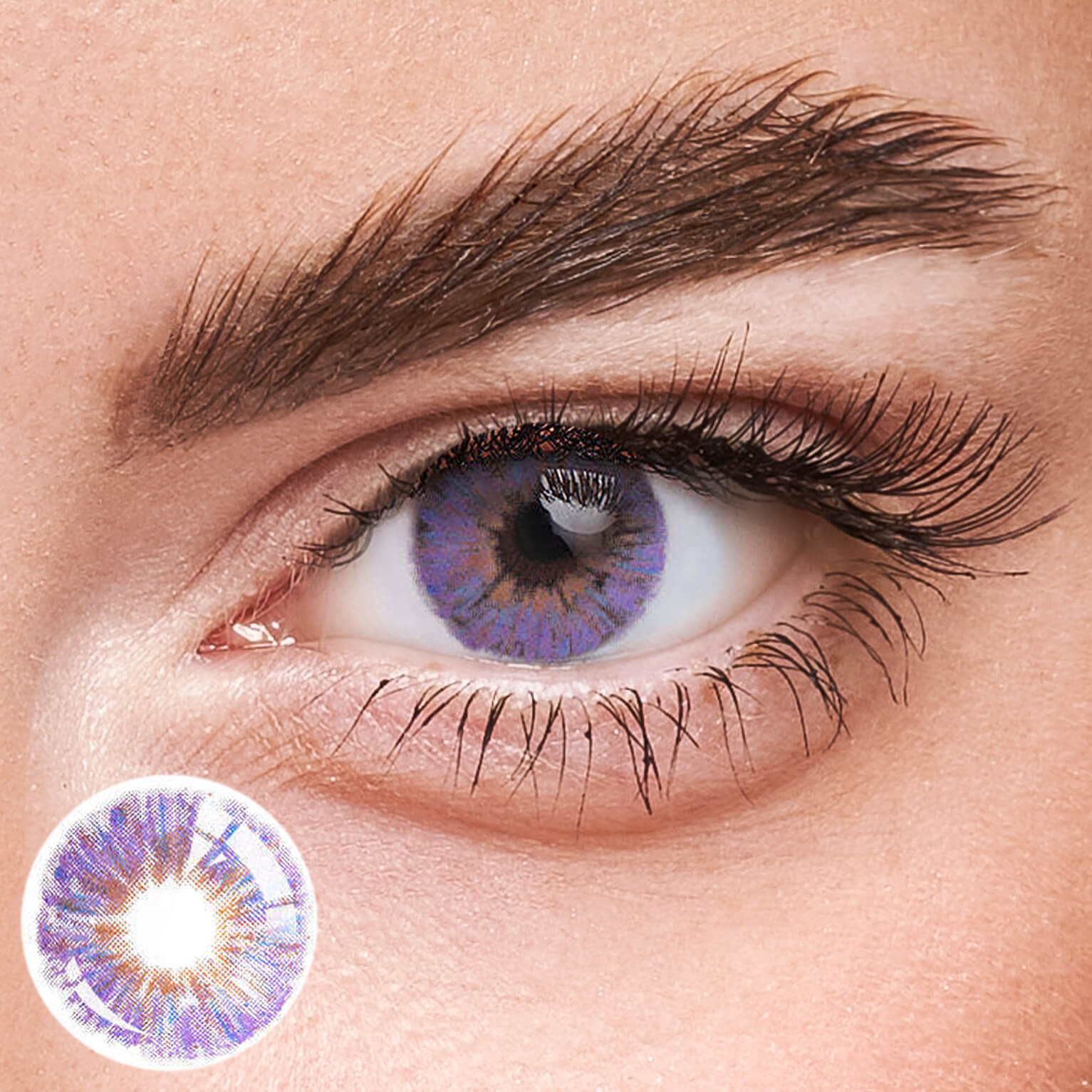 Eyeza Monet Purple  | 1 Year