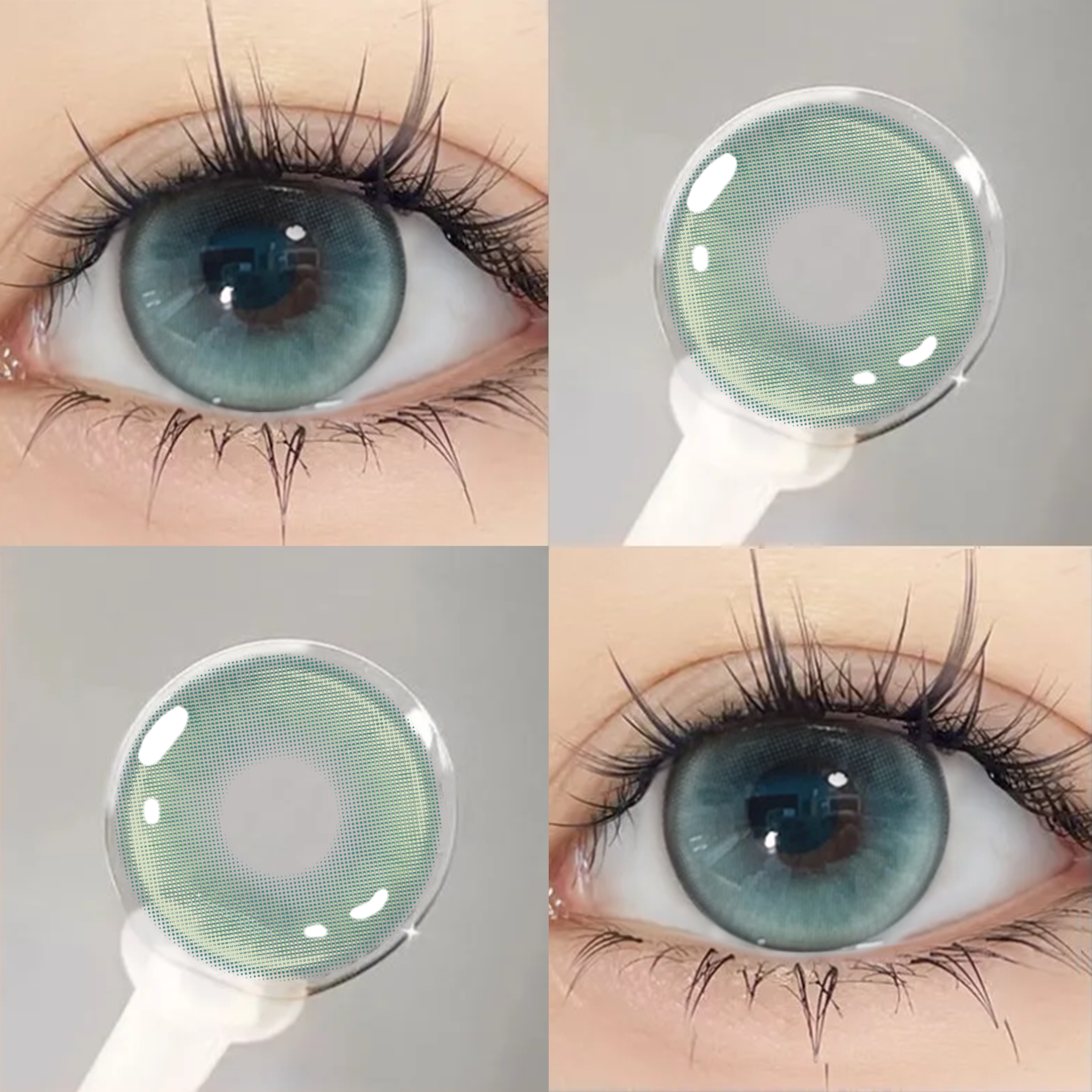 Eyeza Light Chasing Cat | 1 Year