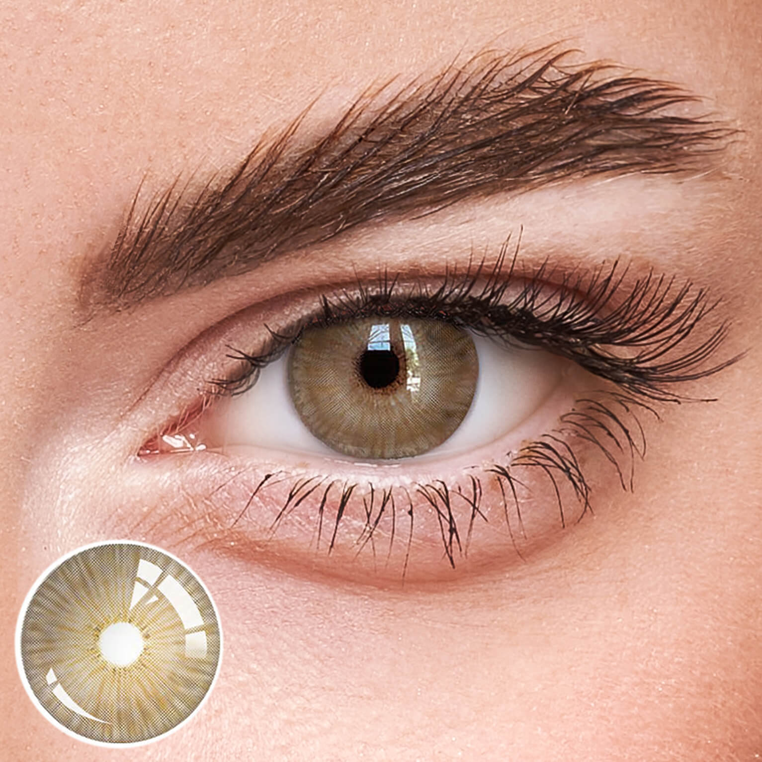 Eyeza New York Brown  | 1 Year