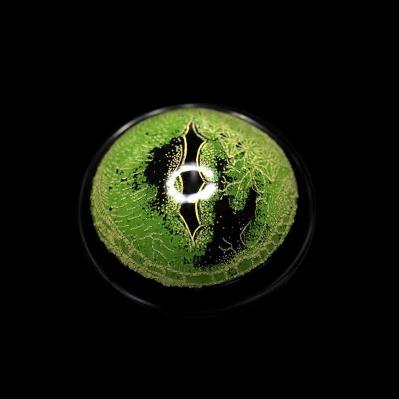 Eyeza Giant Crocodile | 1 Year