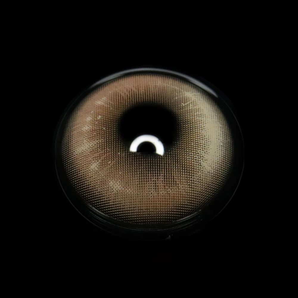 Eyeza Spring Diary Brown | 1 Year