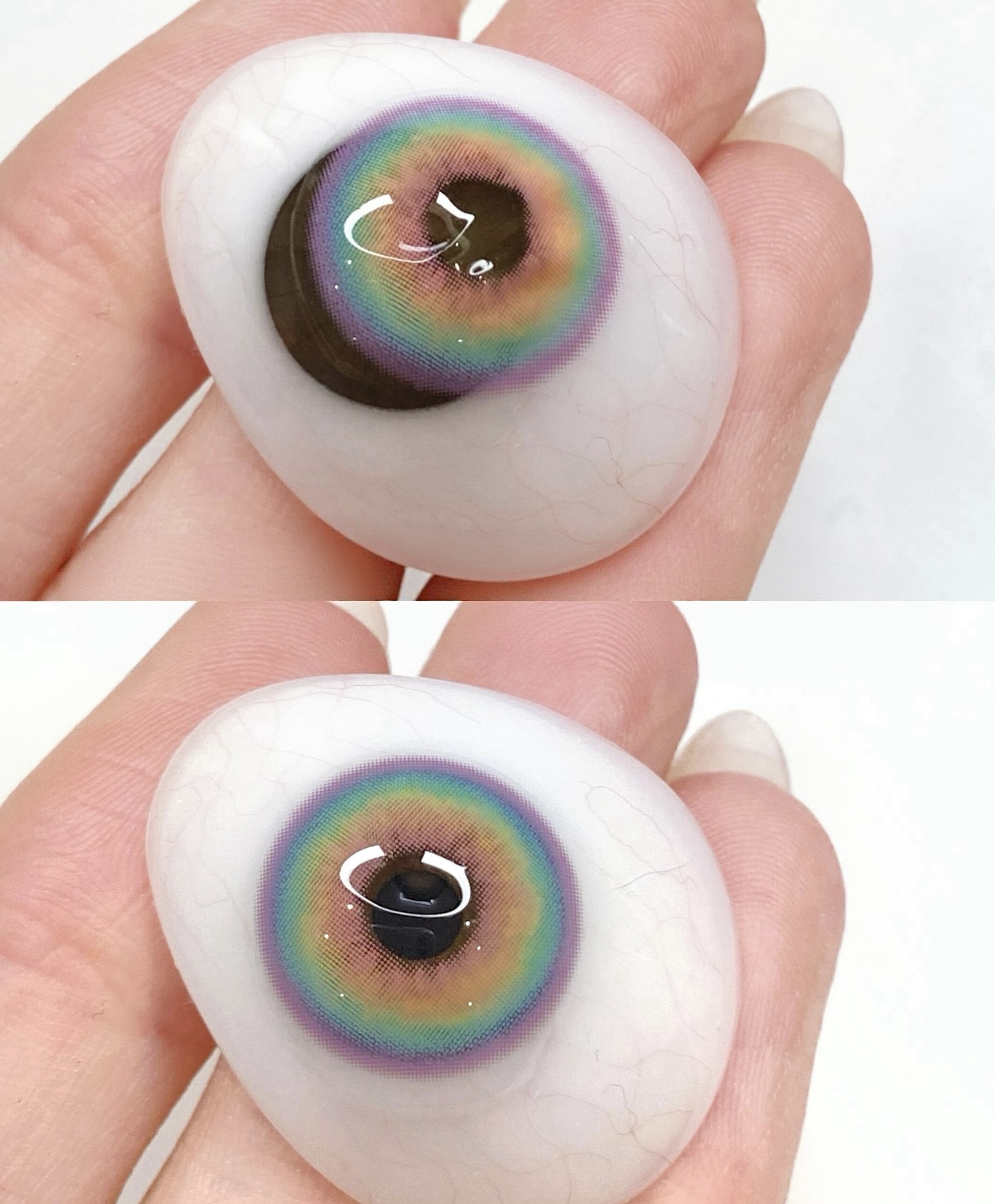 Eyeza Sugar Rainbow | 1 Day