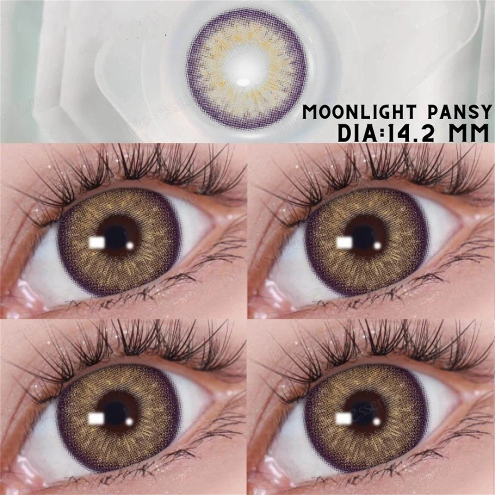 Eyeza Moonlight Pansy Brown  | 1 Year