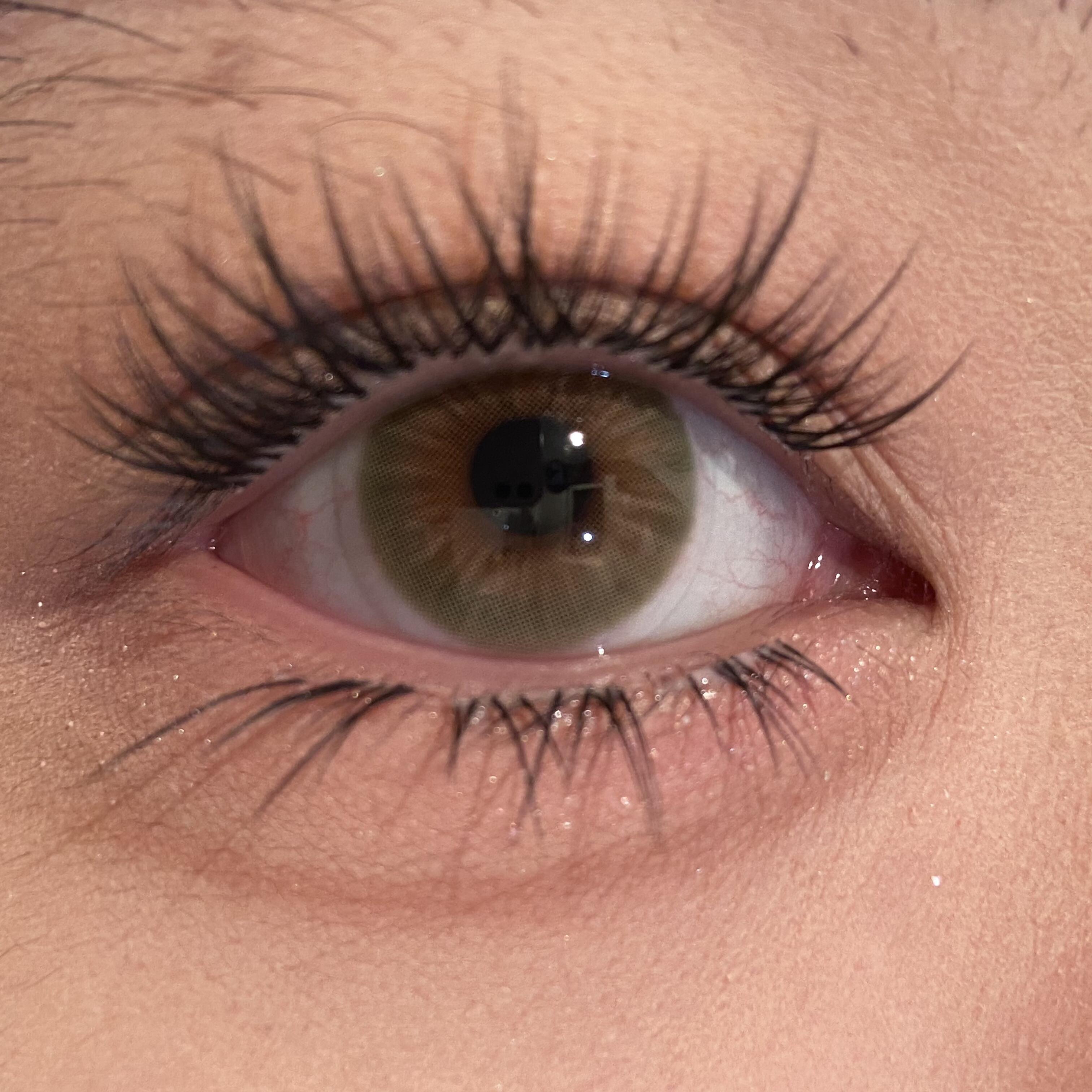 Eyeza Hazelwood Brown | 6 Months