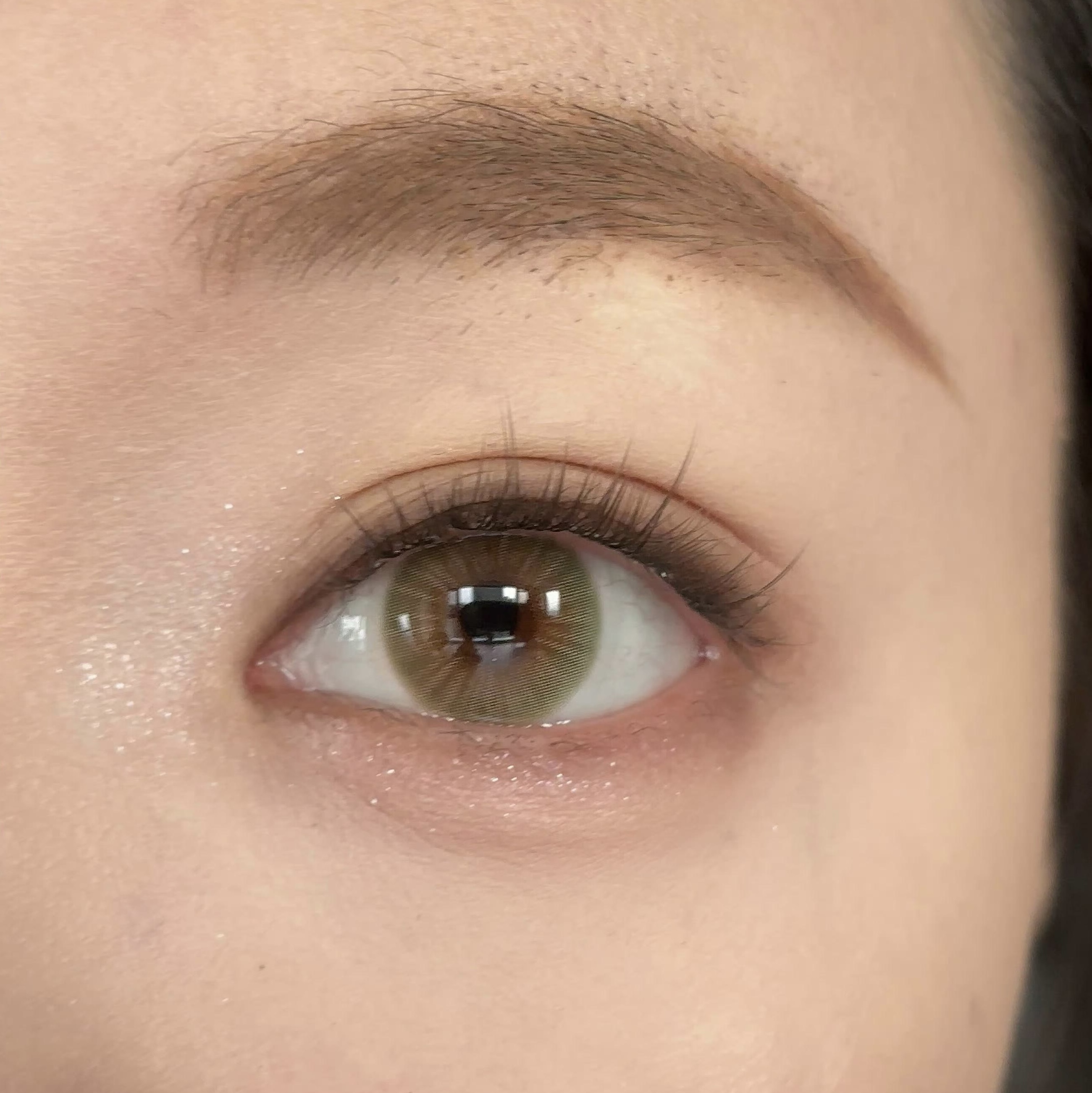 Eyeza Hazelwood Brown | 6 Months