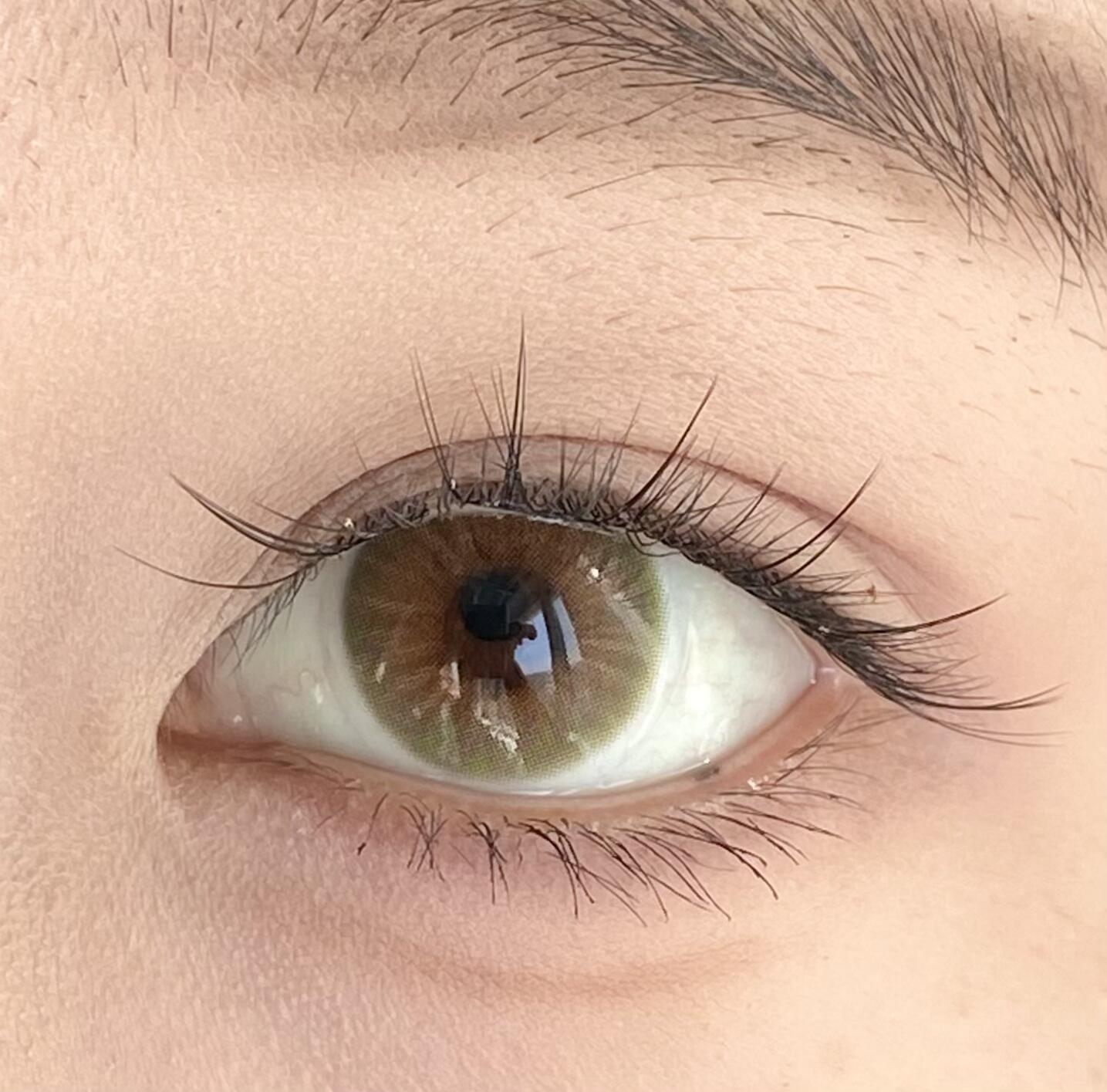 Eyeza Hazelwood Brown | 6 Months