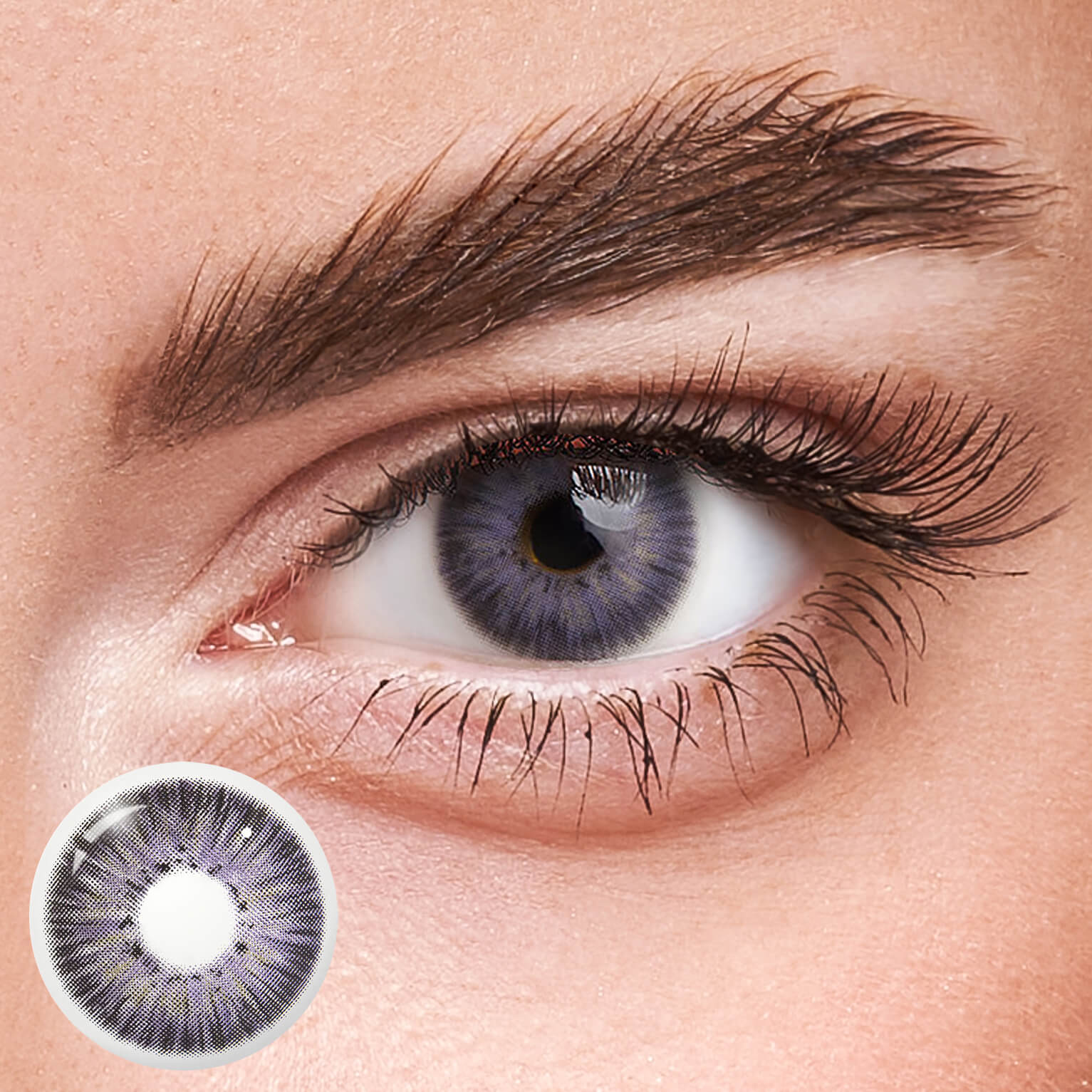 Eyeza New York III Violet | 1 Year