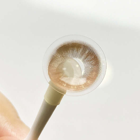 Eyeza Spring Diary Brown | 1 Year