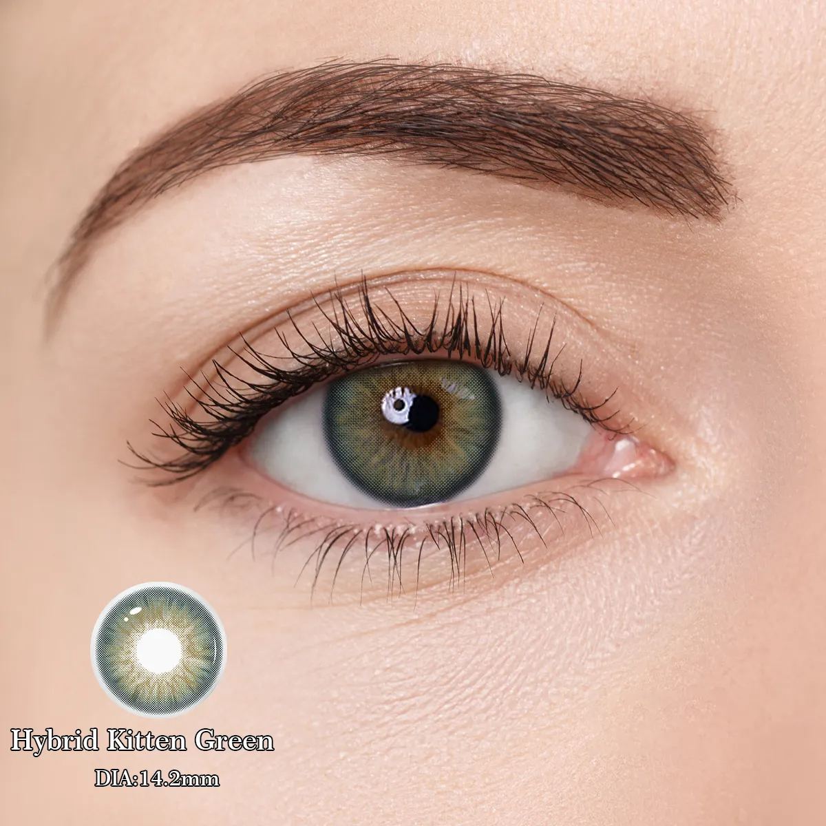 Eyeza Hibird Kitten Green | 1 Year