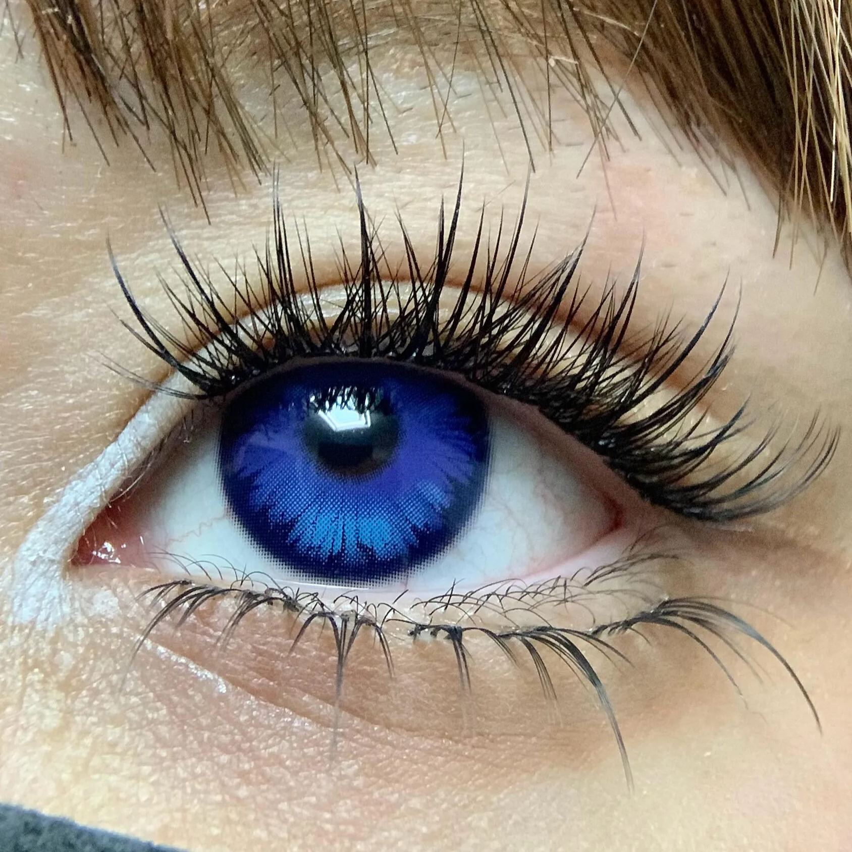 Eyeza Icy Petal Purple | 1 Year