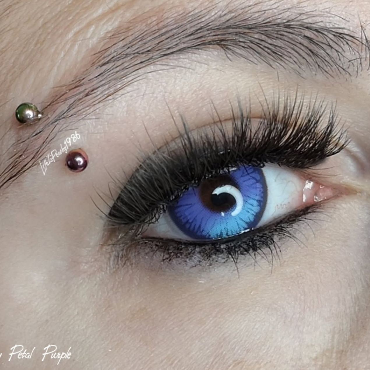 Eyeza Icy Petal Purple | 1 Year