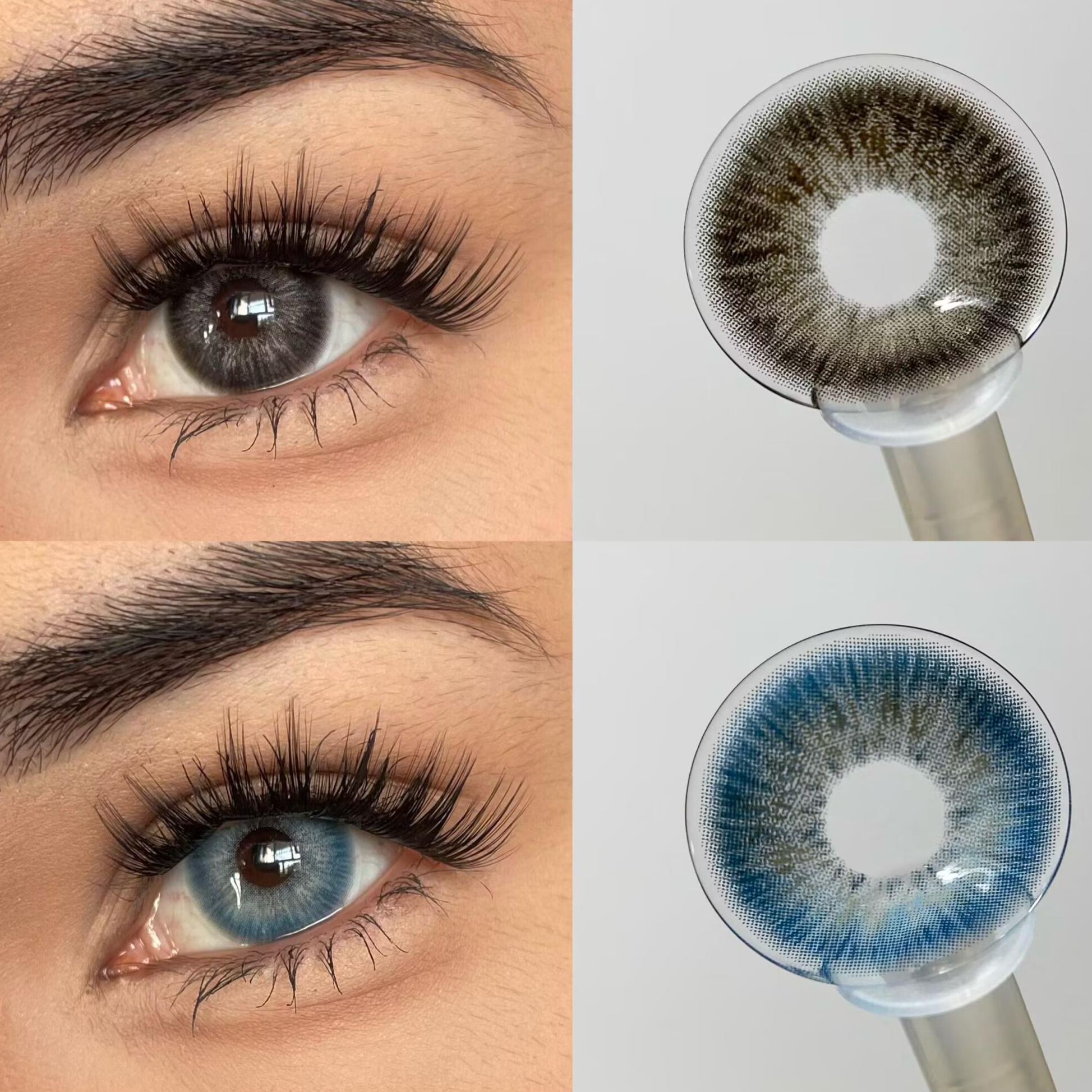 Eyeza Blue Circuit | 1 Year