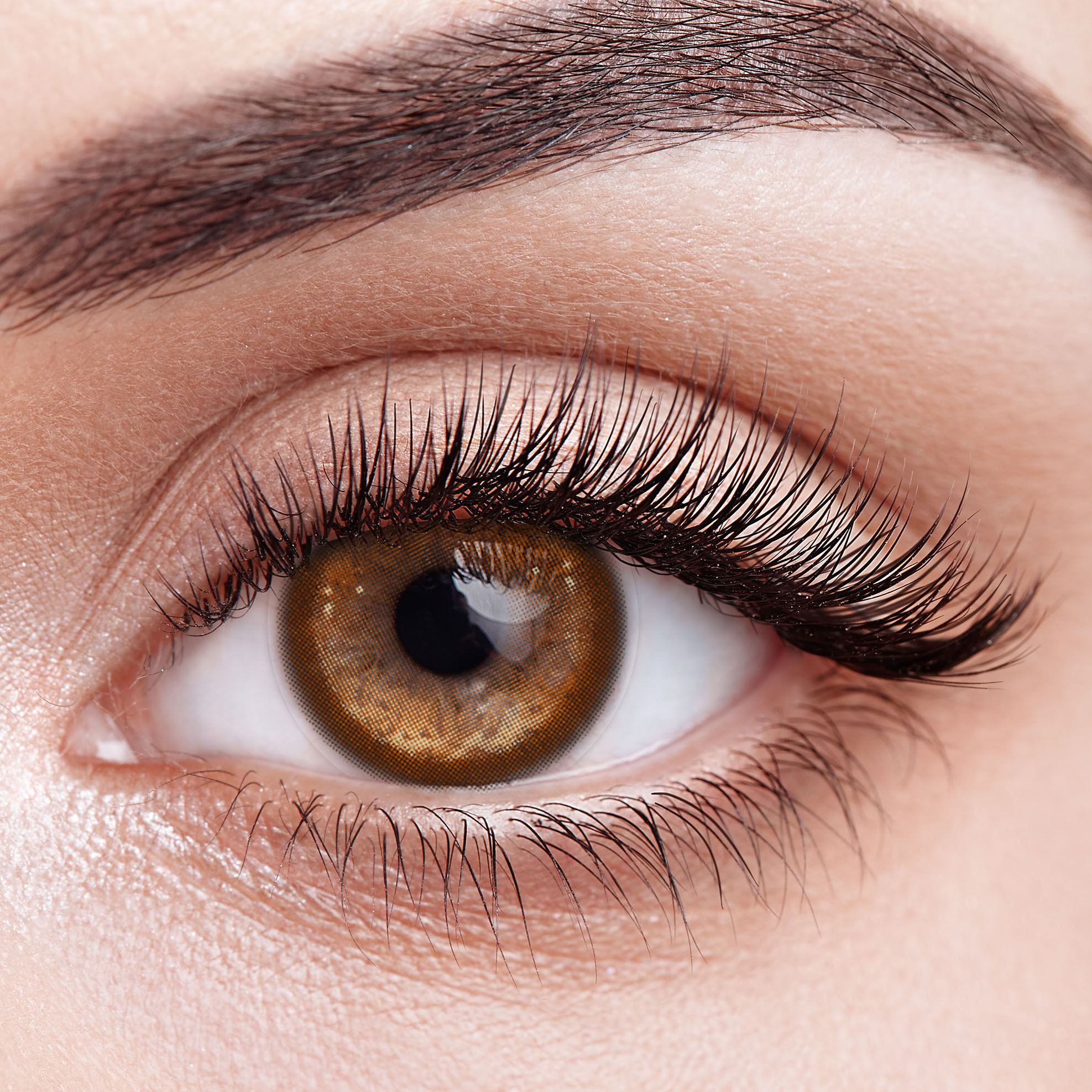 Eyeza Thermo Aura Brown | 1 Year