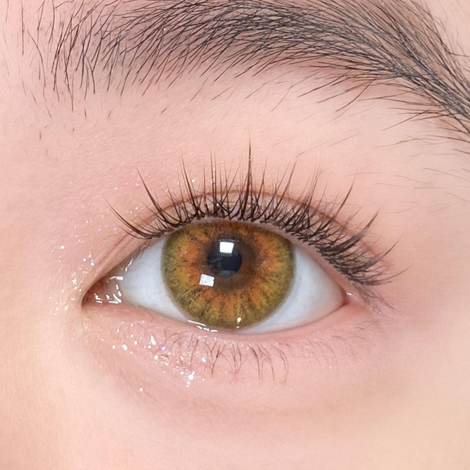 Eyeza Fox Honey | 1 Day