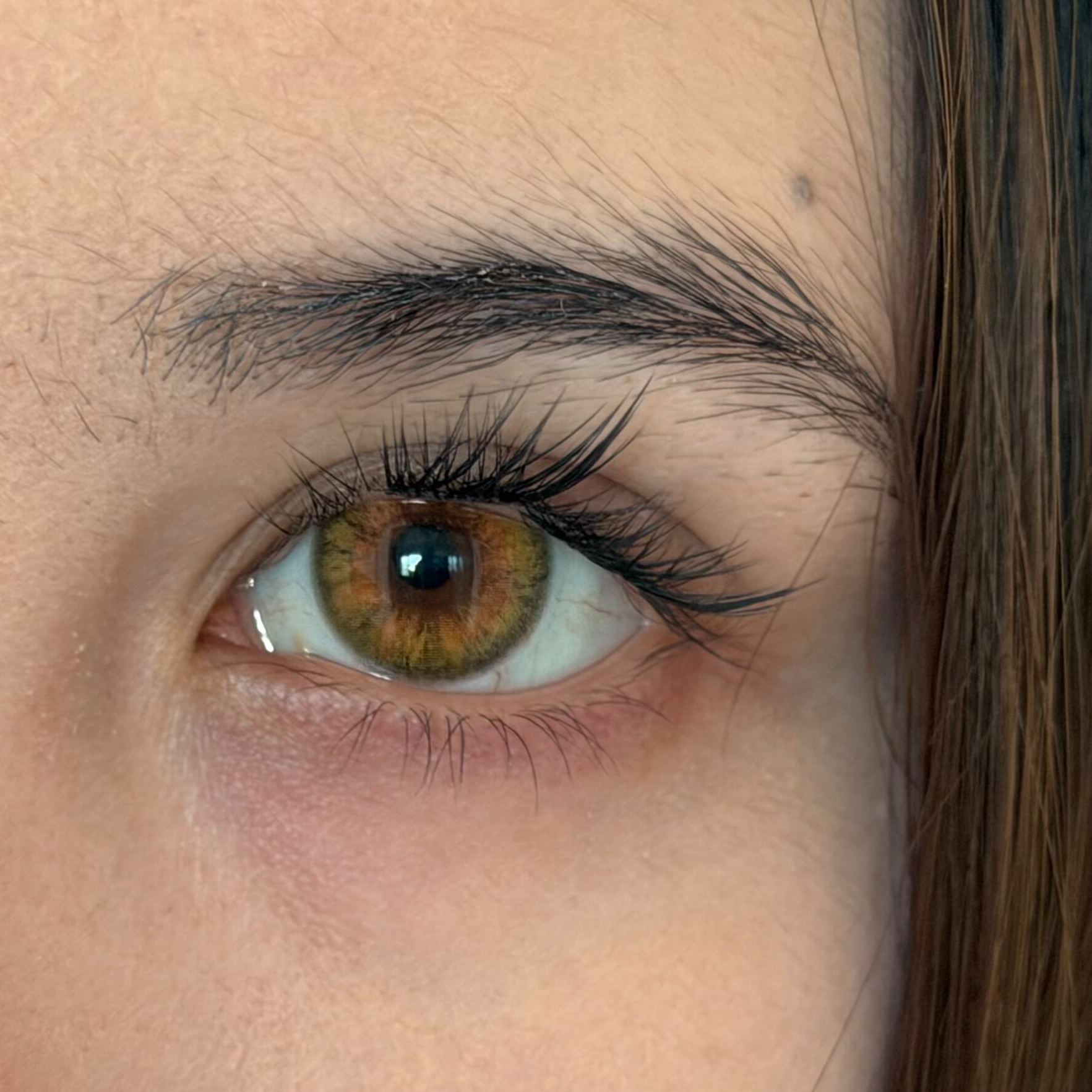 Eyeza Fox Honey | 1 Day