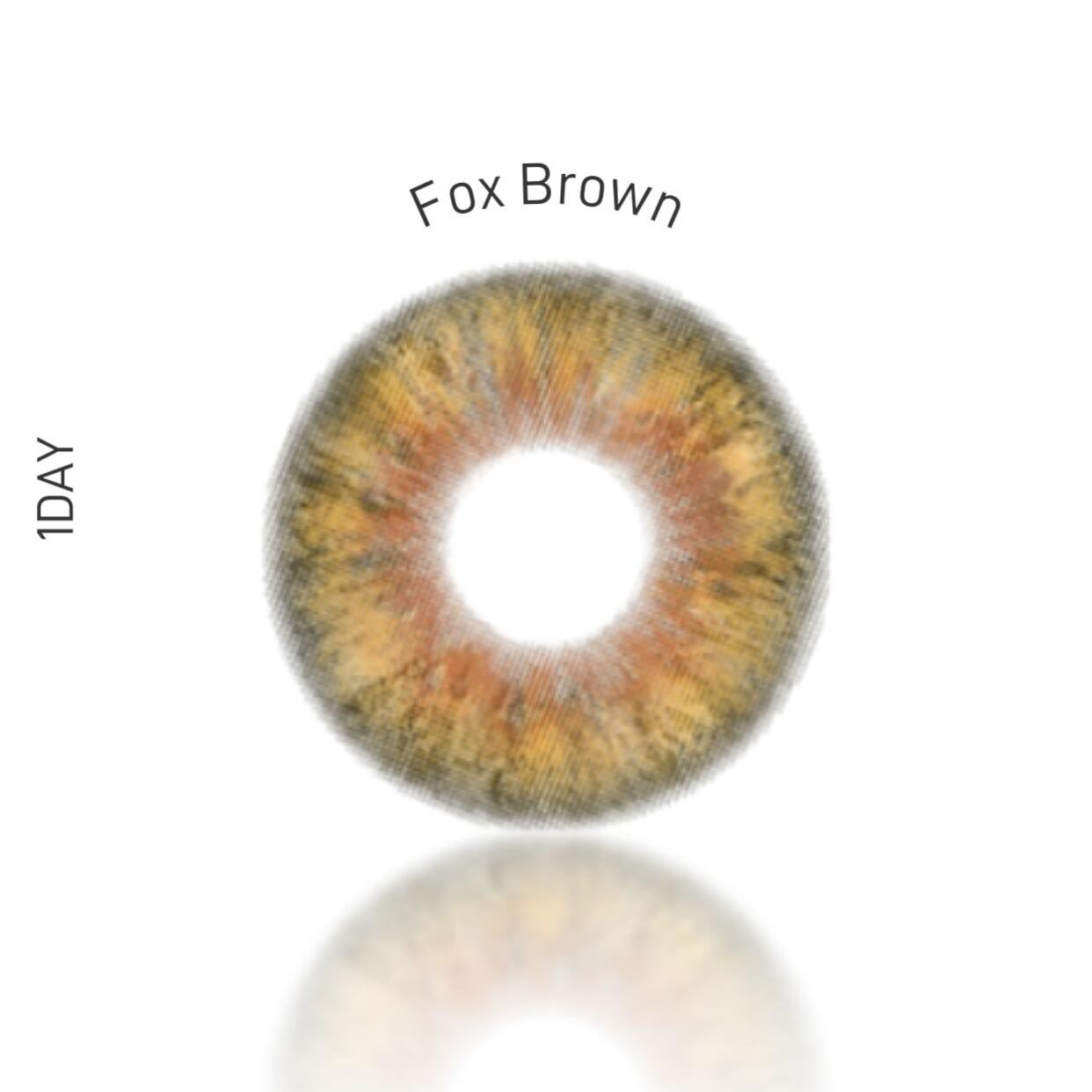 Eyeza Fox Honey | 1 Day