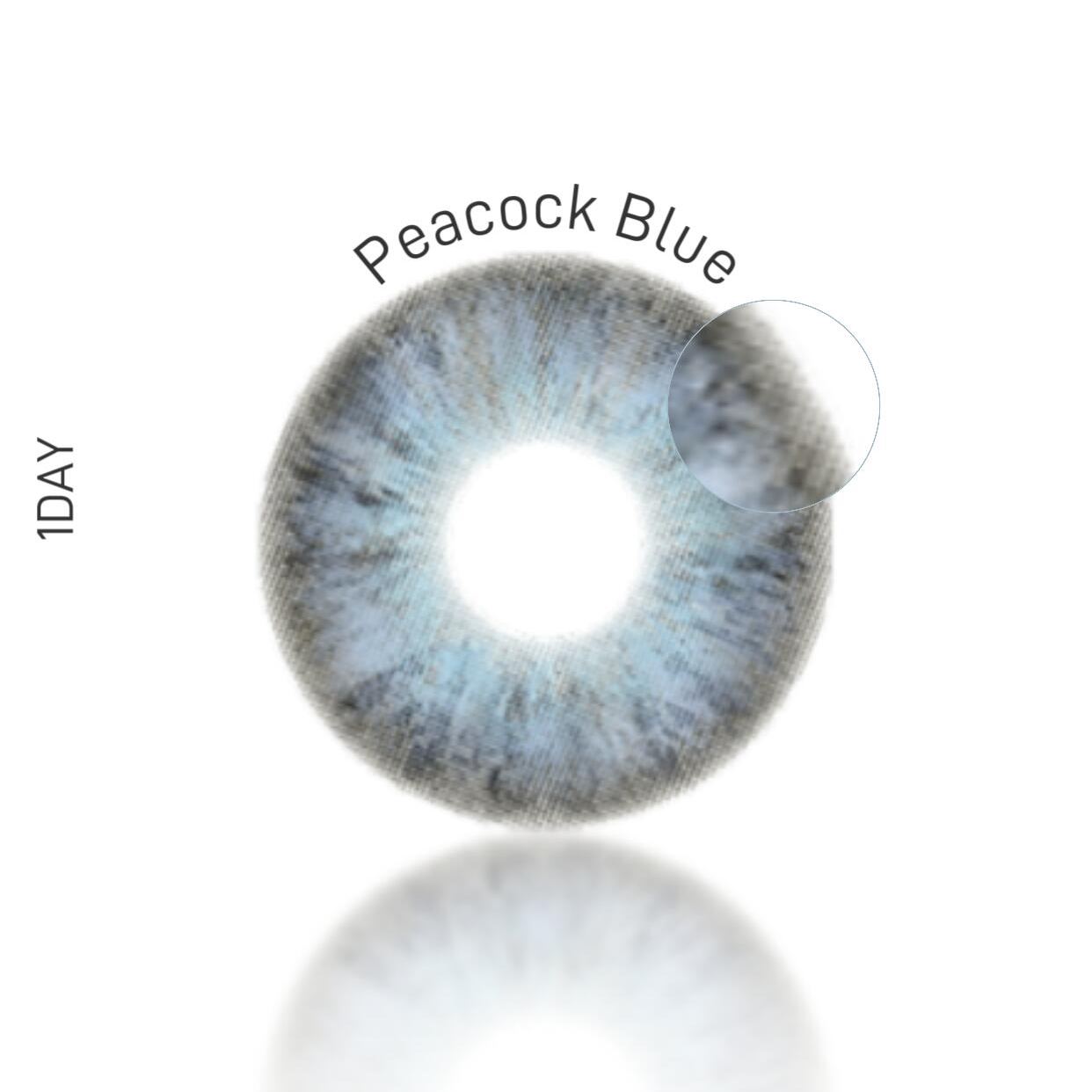 Eyeza Peacock Feather | 1 Day