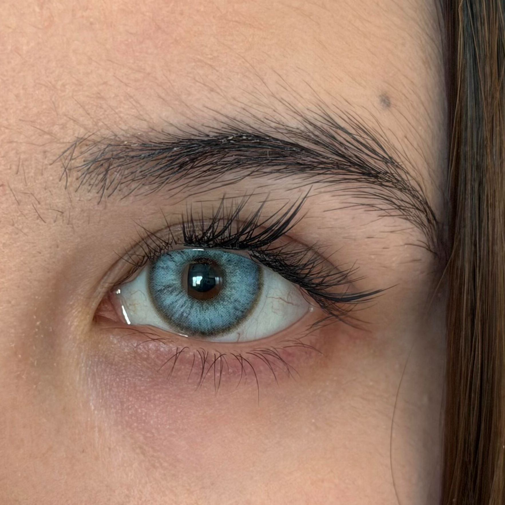 Eyeza Peacock Feather | 1 Day