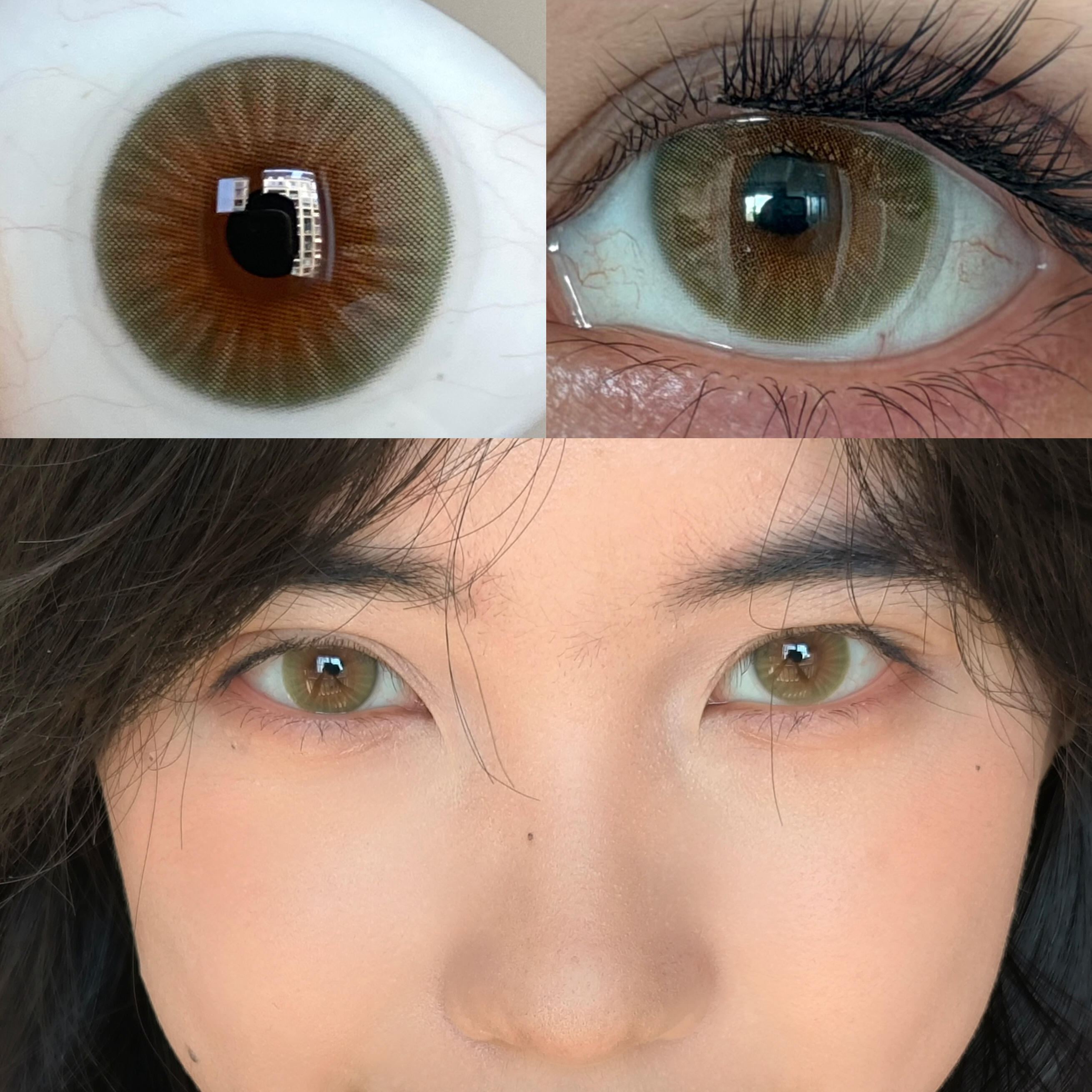 Eyeza Hazelwood Brown | 6 Months