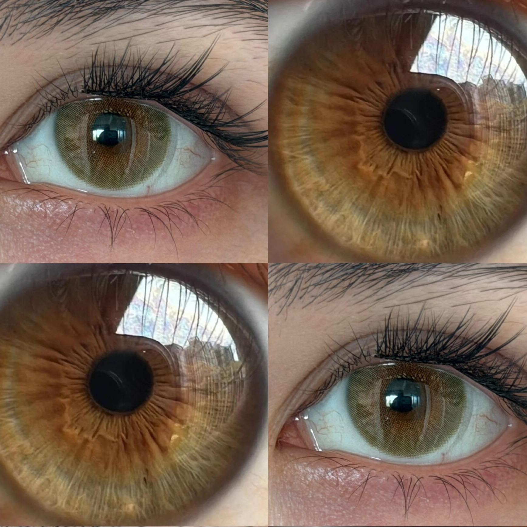 Eyeza Hazelwood Brown | 6 Months