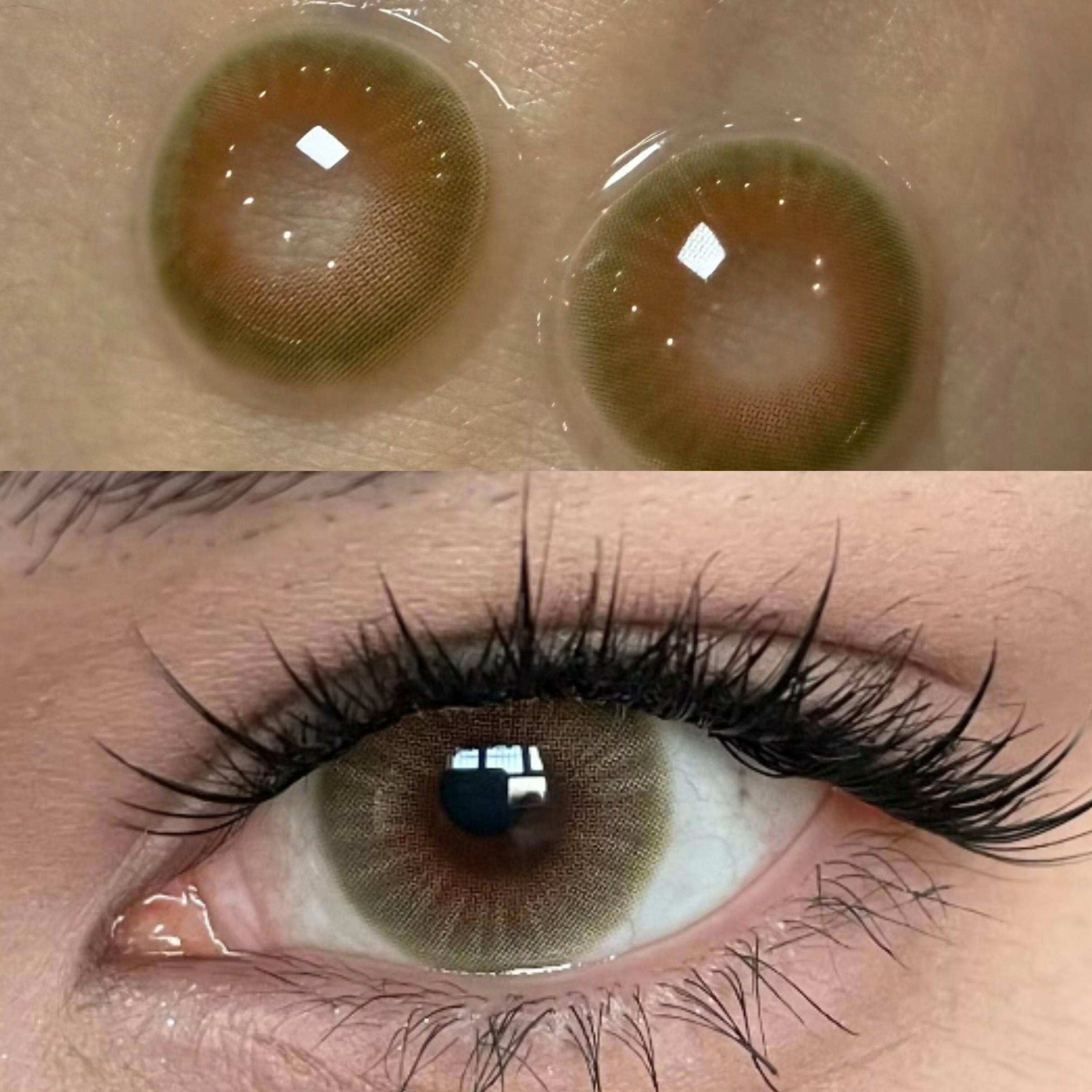 Eyeza Hazelwood Brown | 6 Months