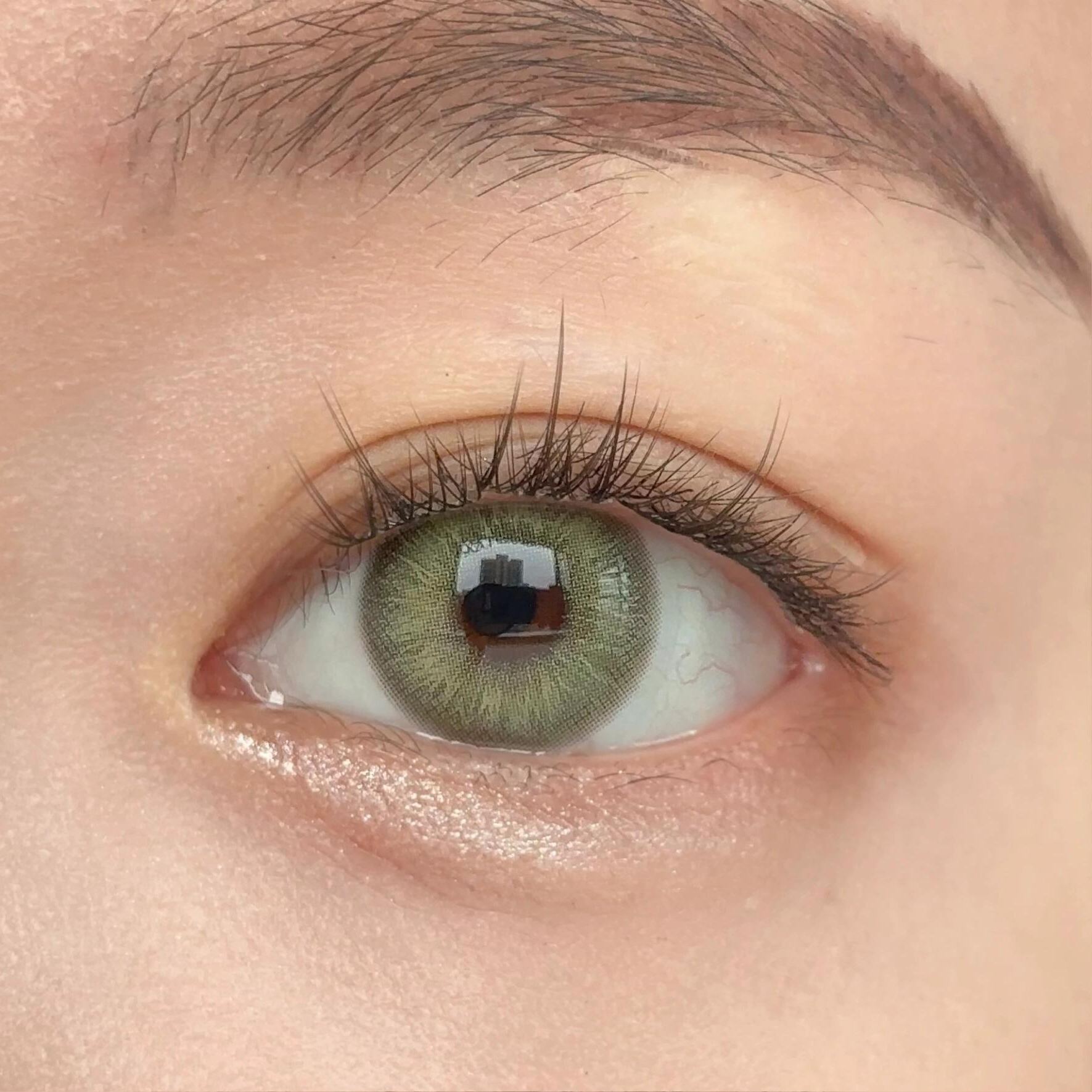 Eyeza Shadow Moss | 6 Months