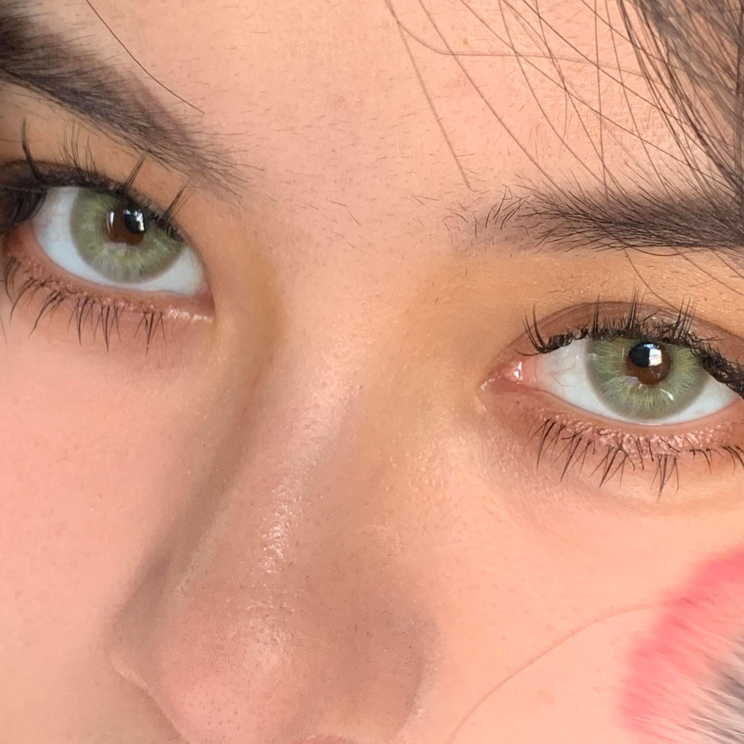 Eyeza Shadow Moss | 6 Months