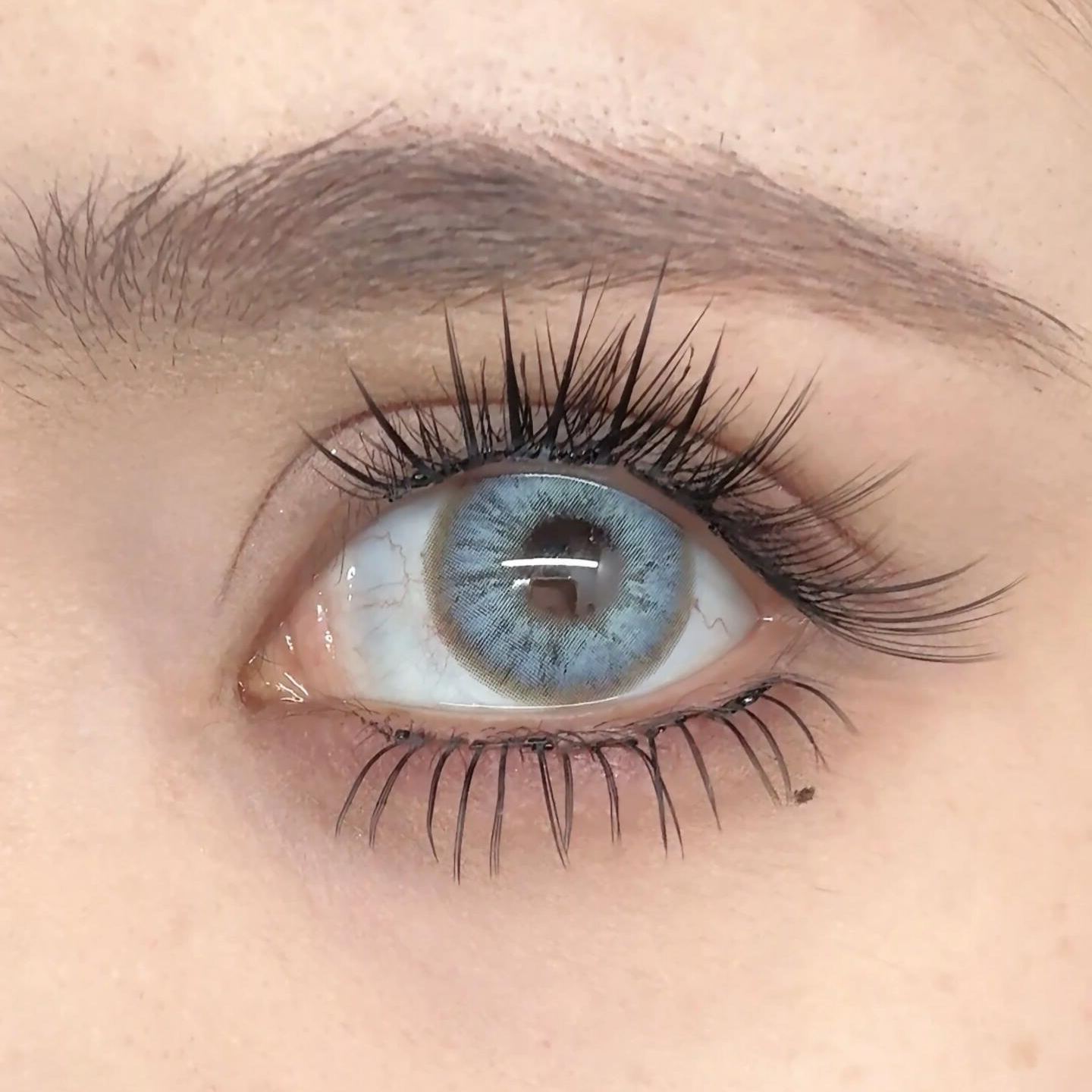 Eyeza Peacock Feather | 1 Day