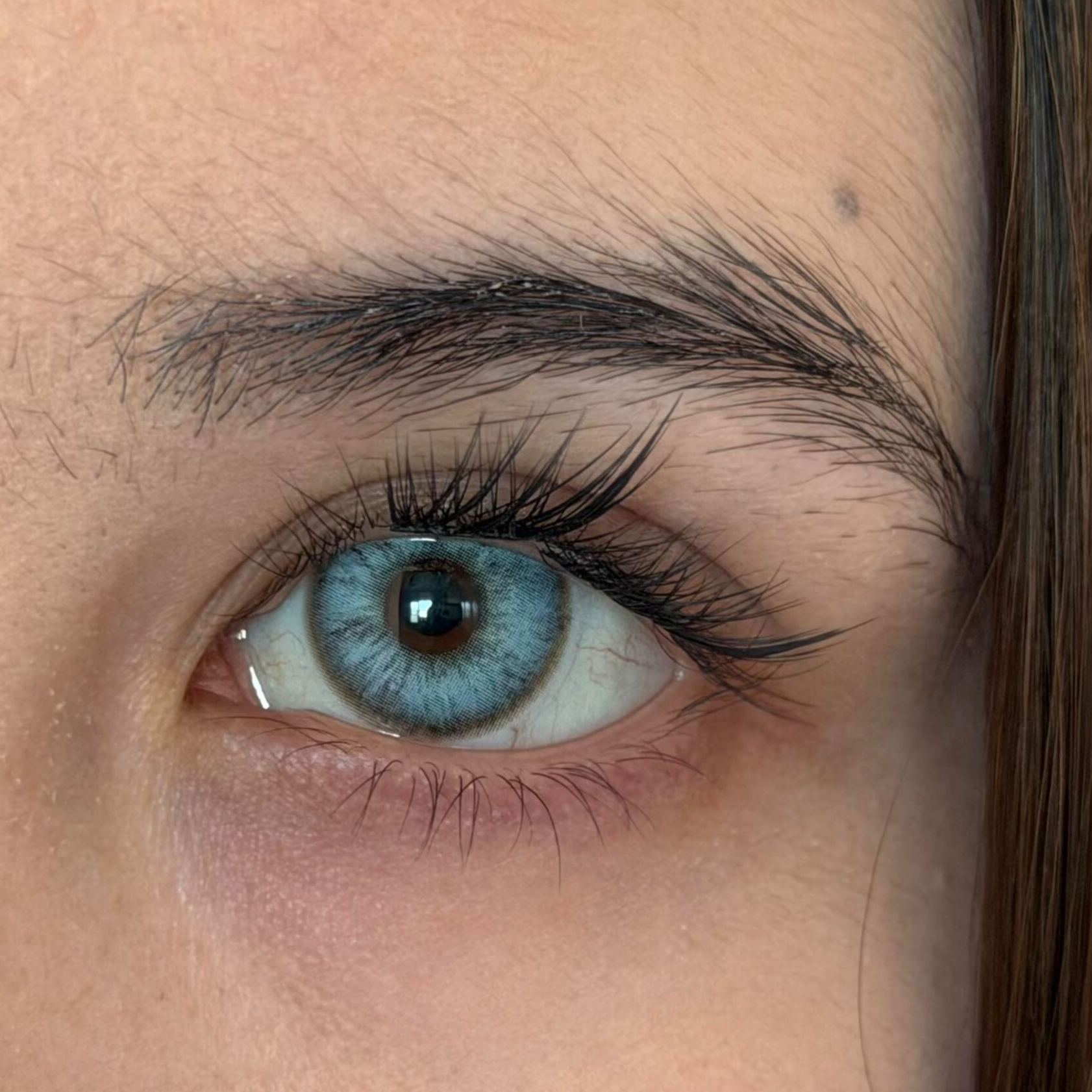 Eyeza Peacock Feather | 1 Day