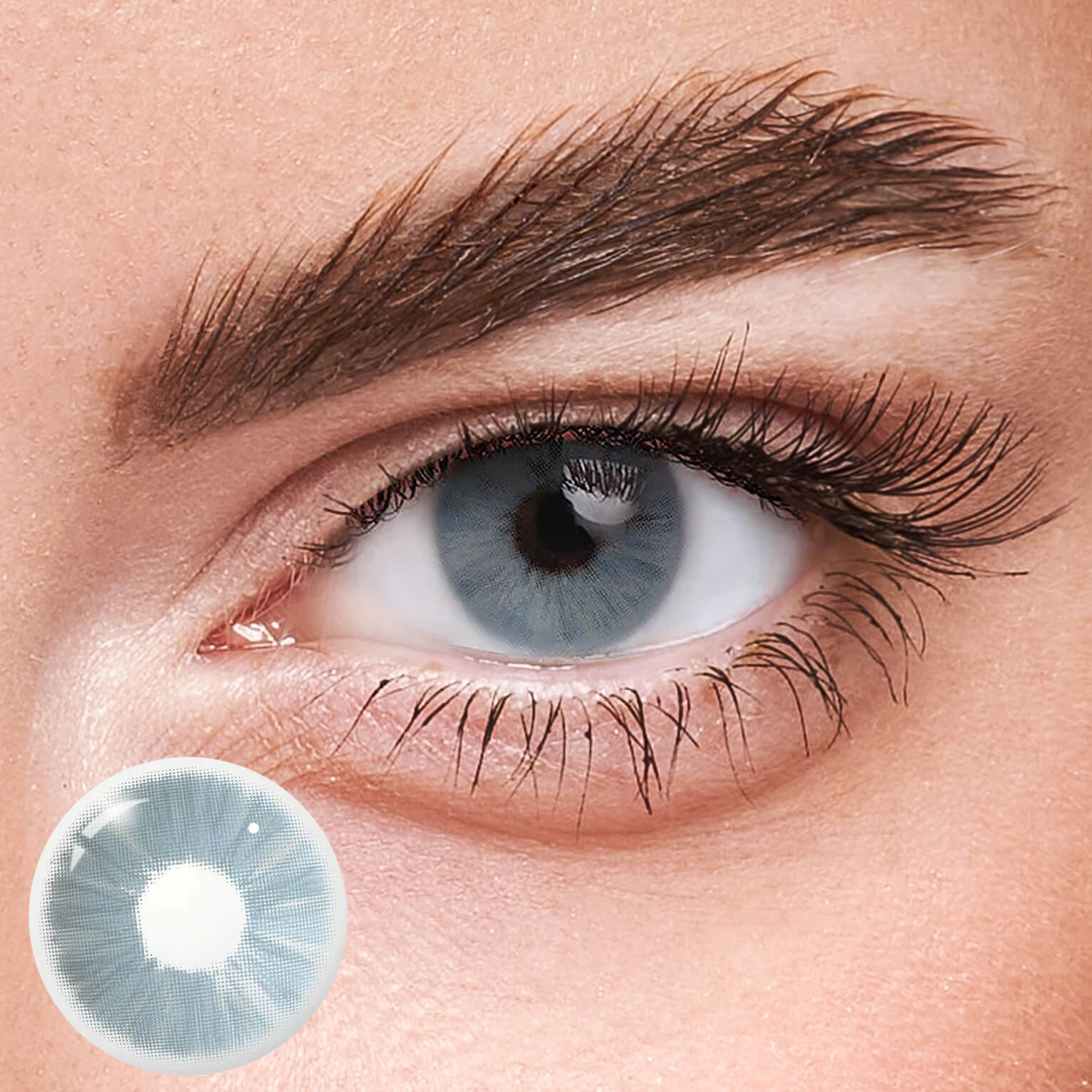 Eyeza Meta Blue  | 1 Year