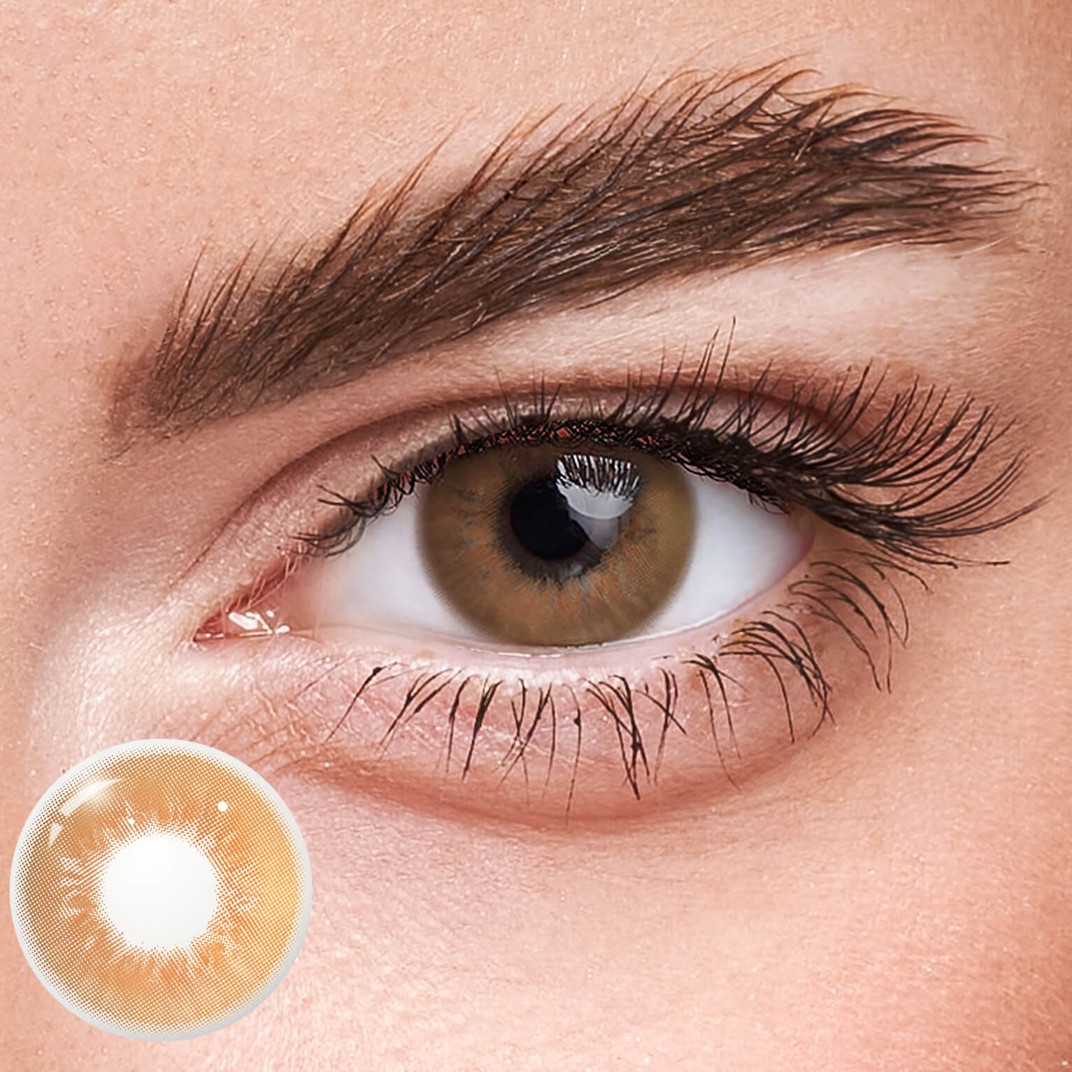 Eyeza Sin Brown  | 1 Year