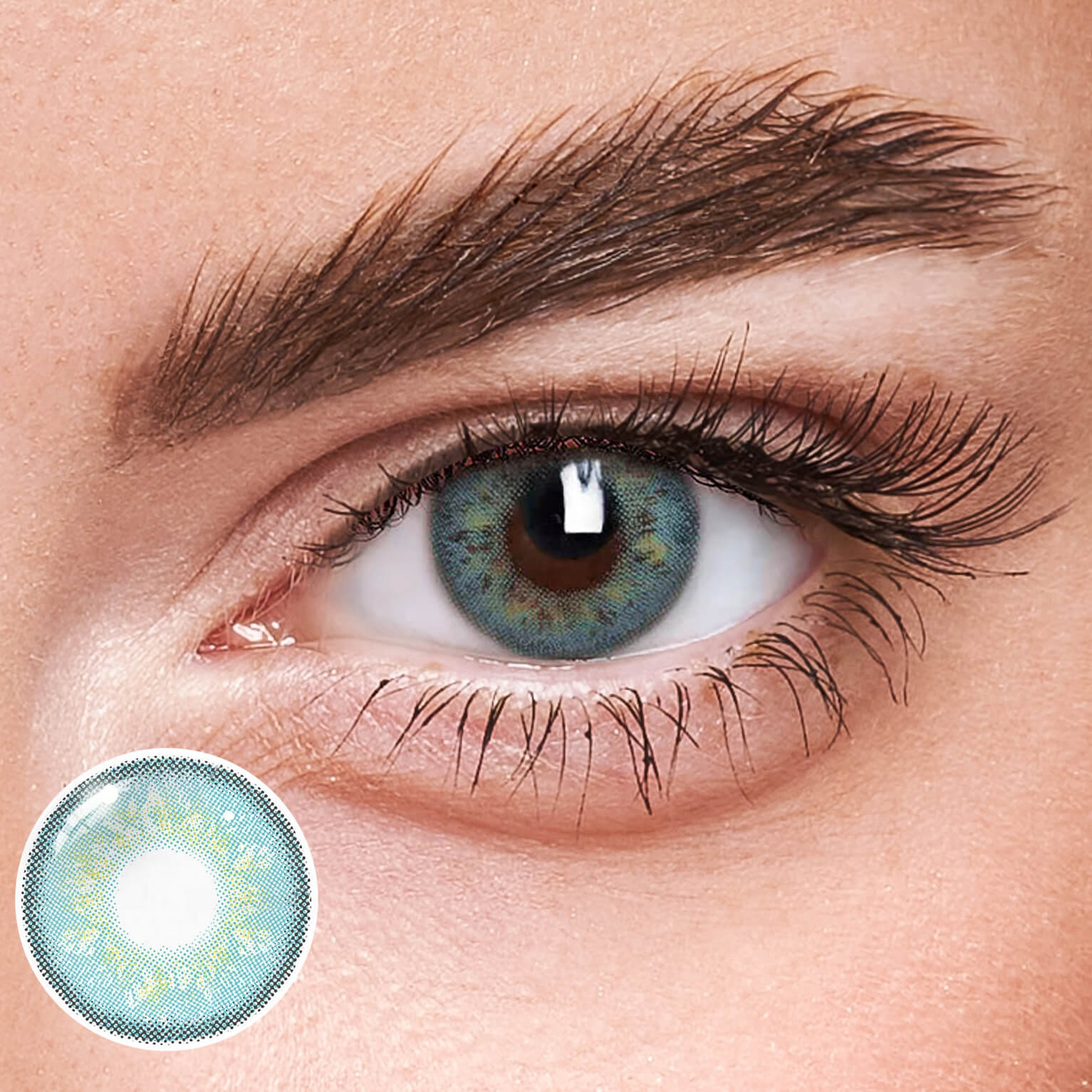 Eyeza Wild Cat Blue | 1 Year